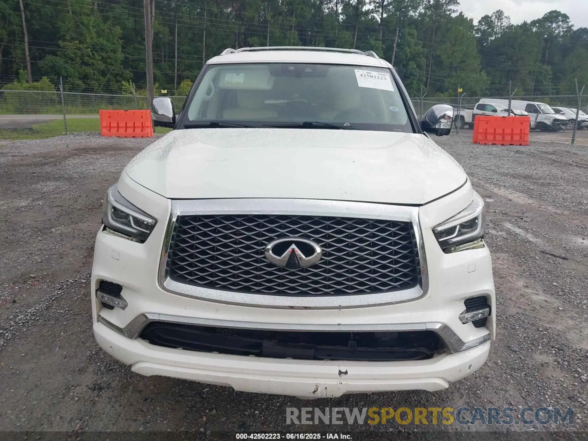 12 fotografías del automóvil dañado JN8AZ2NFXK9688644 INFINITI QX80 2019
