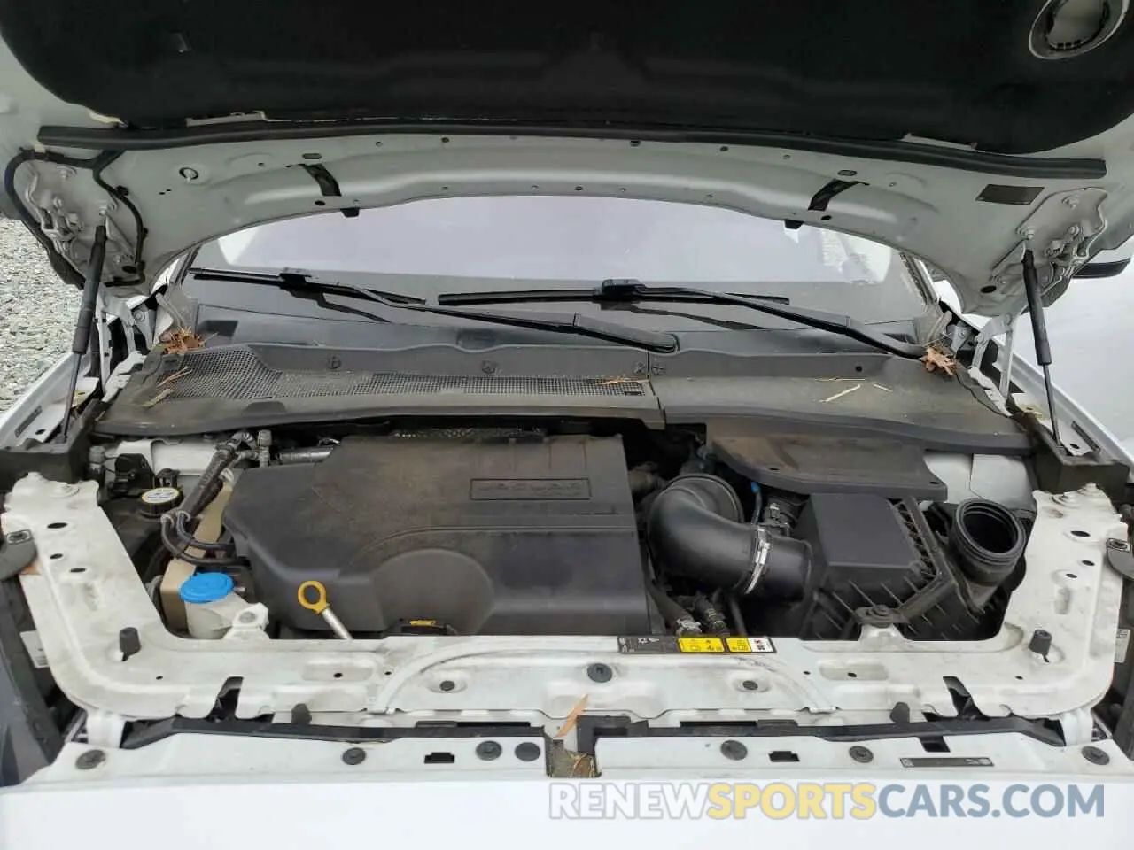 12 fotografías del automóvil dañado SADFJ2FX9K1Z64864 JAGUAR ETYPE 2019