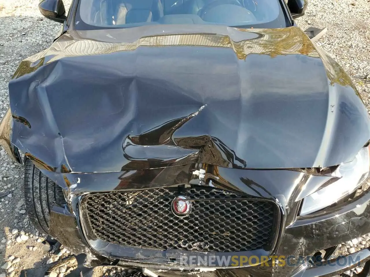 12 fotografías del automóvil dañado SADCJ2FXXKA394456 JAGUAR F-PACE 2019