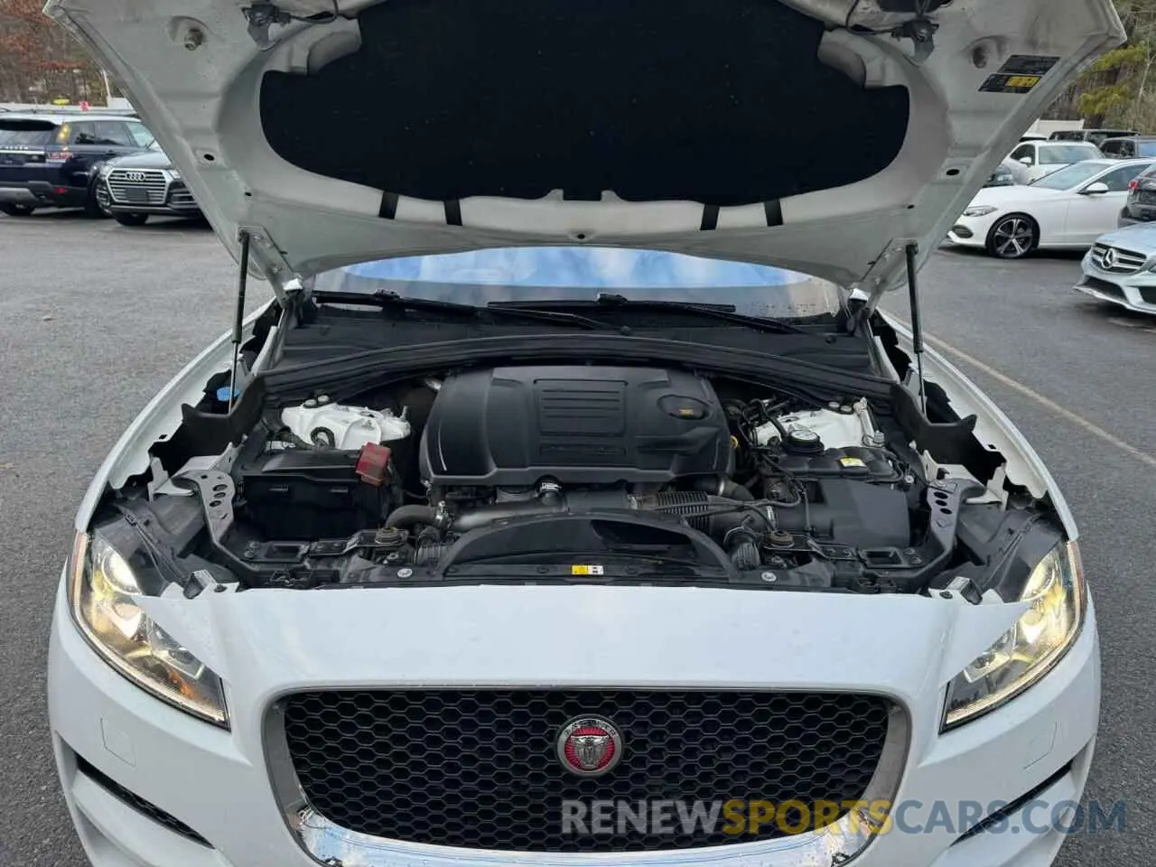 8 fotografías del automóvil dañado SADCJ2GX3KA361023 JAGUAR F-PACE 2019