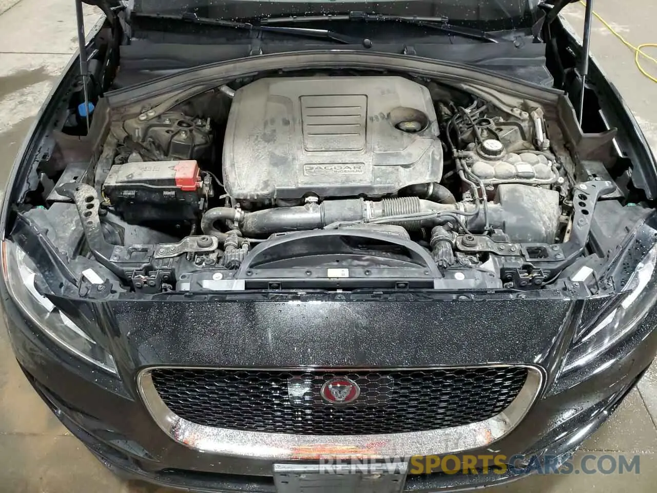 13 fotografías del automóvil dañado SADCK2FX0KA352021 JAGUAR F-PACE 2019