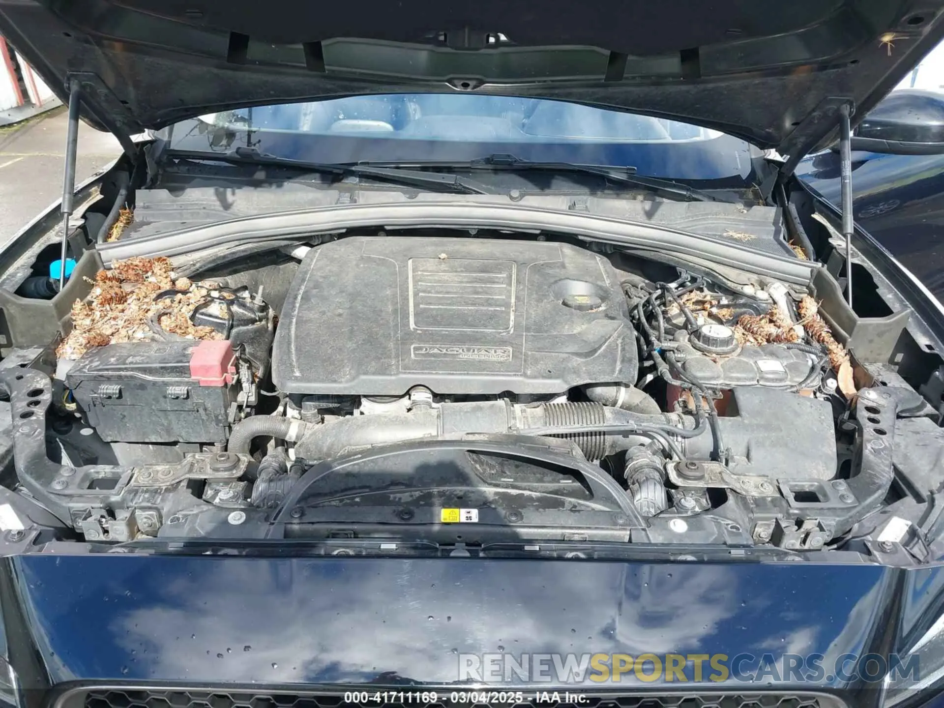 10 fotografías del automóvil dañado SADCK2GX1KA391800 JAGUAR F-PACE 2019