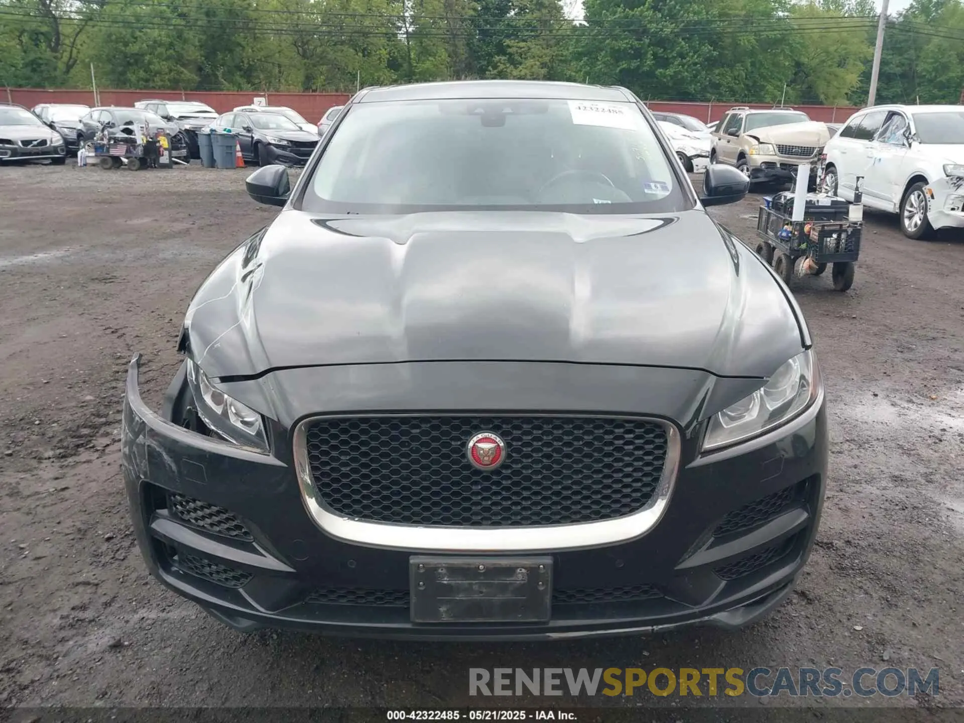 12 fotografías del automóvil dañado SADCK2GX7KA392837 JAGUAR F-PACE 2019