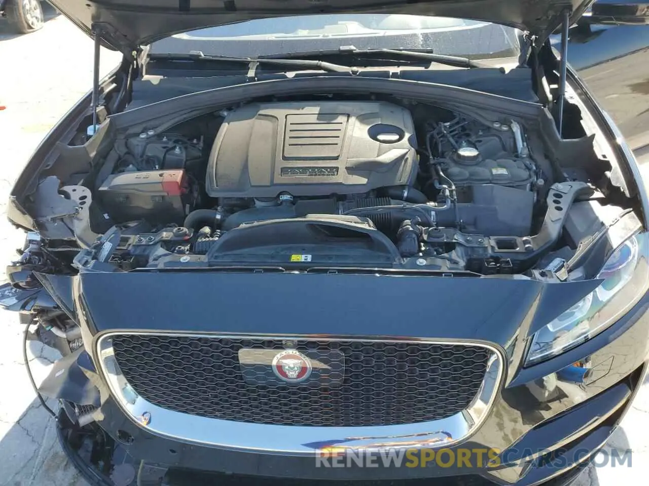 14 fotografías del automóvil dañado SADCK2GX9KA368541 JAGUAR F-PACE 2019