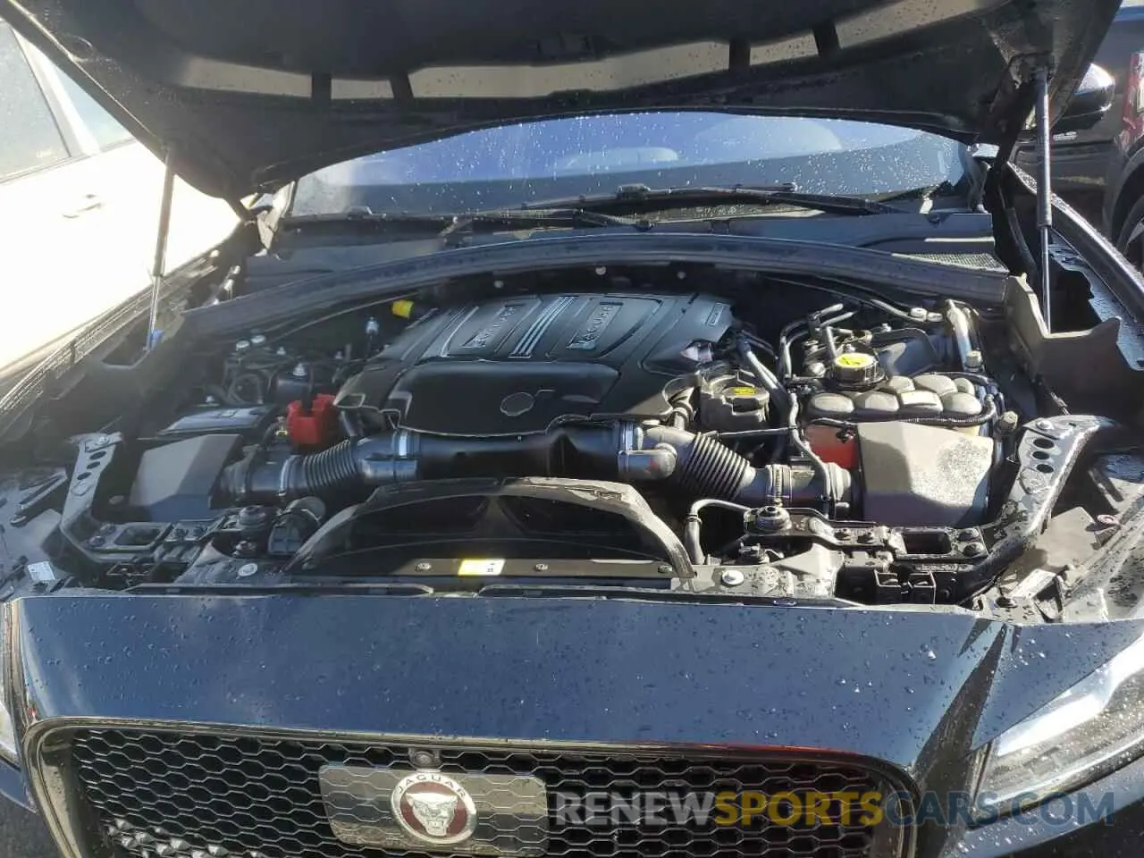 12 fotografías del automóvil dañado SADCM2FV6KA616206 JAGUAR F-PACE 2019