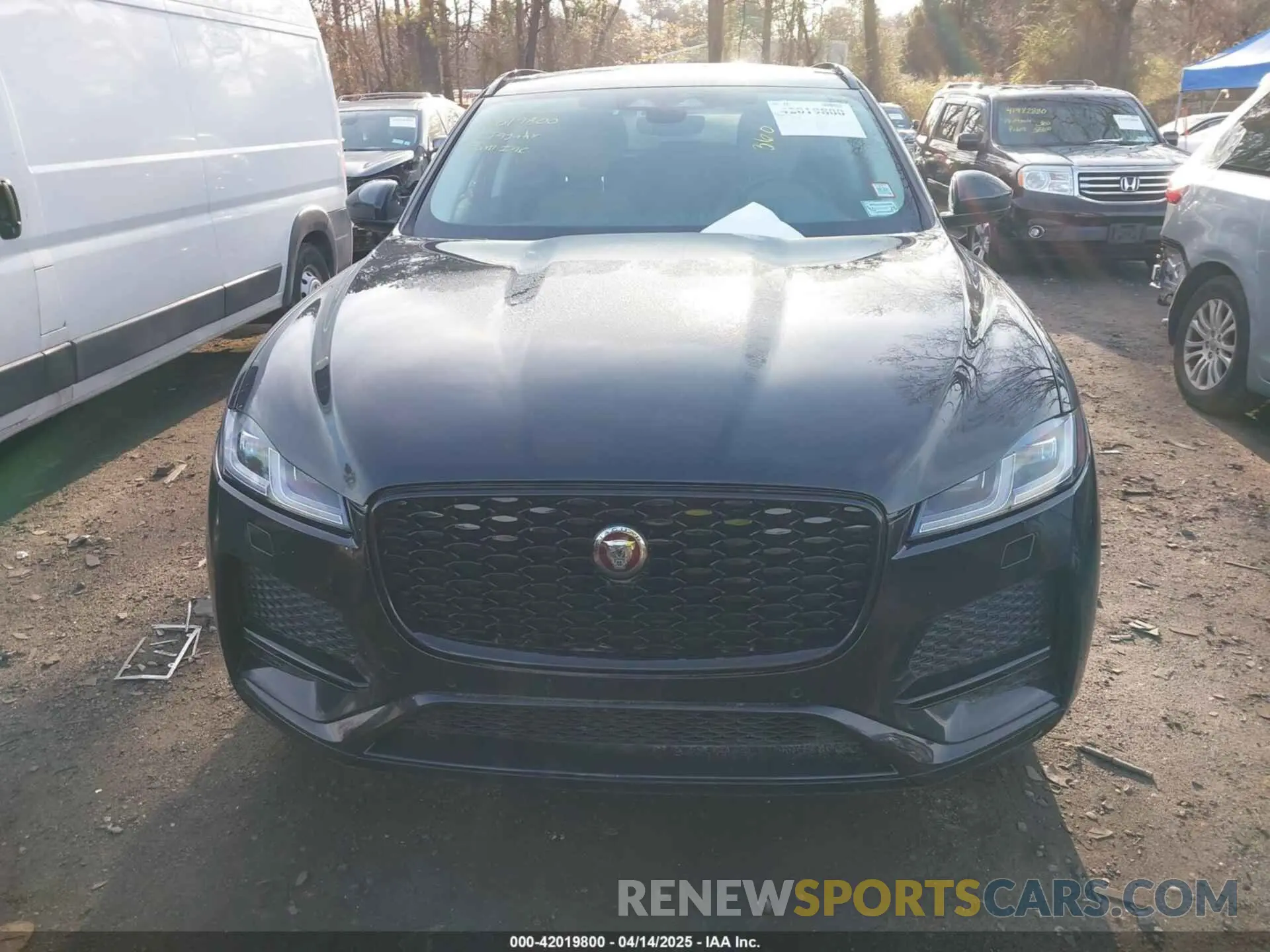 12 fotografías del automóvil dañado SADCJ2EX5NA698042 JAGUAR F-PACE 2022