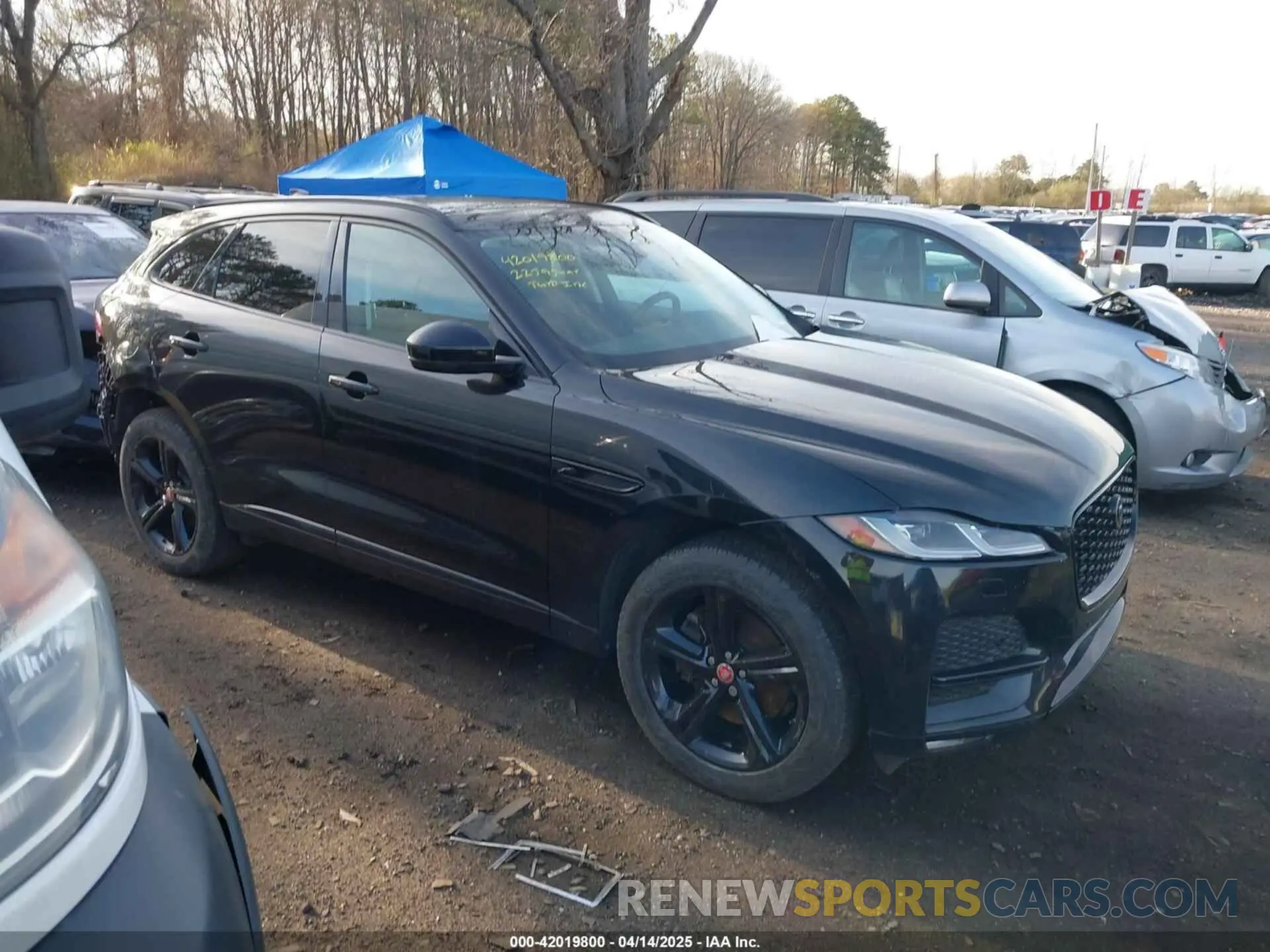 13 fotografías del automóvil dañado SADCJ2EX5NA698042 JAGUAR F-PACE 2022
