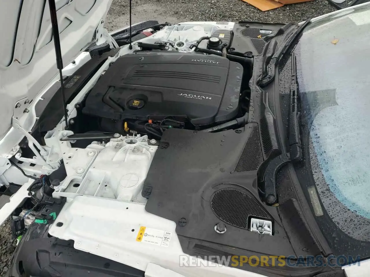 11 fotografías del automóvil dañado SAJDD1GX4LCK67256 JAGUAR F-TYPE 2020