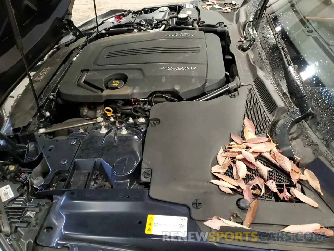 11 fotografías del automóvil dañado SAJDD5GX7LCK66416 JAGUAR F-TYPE 2020