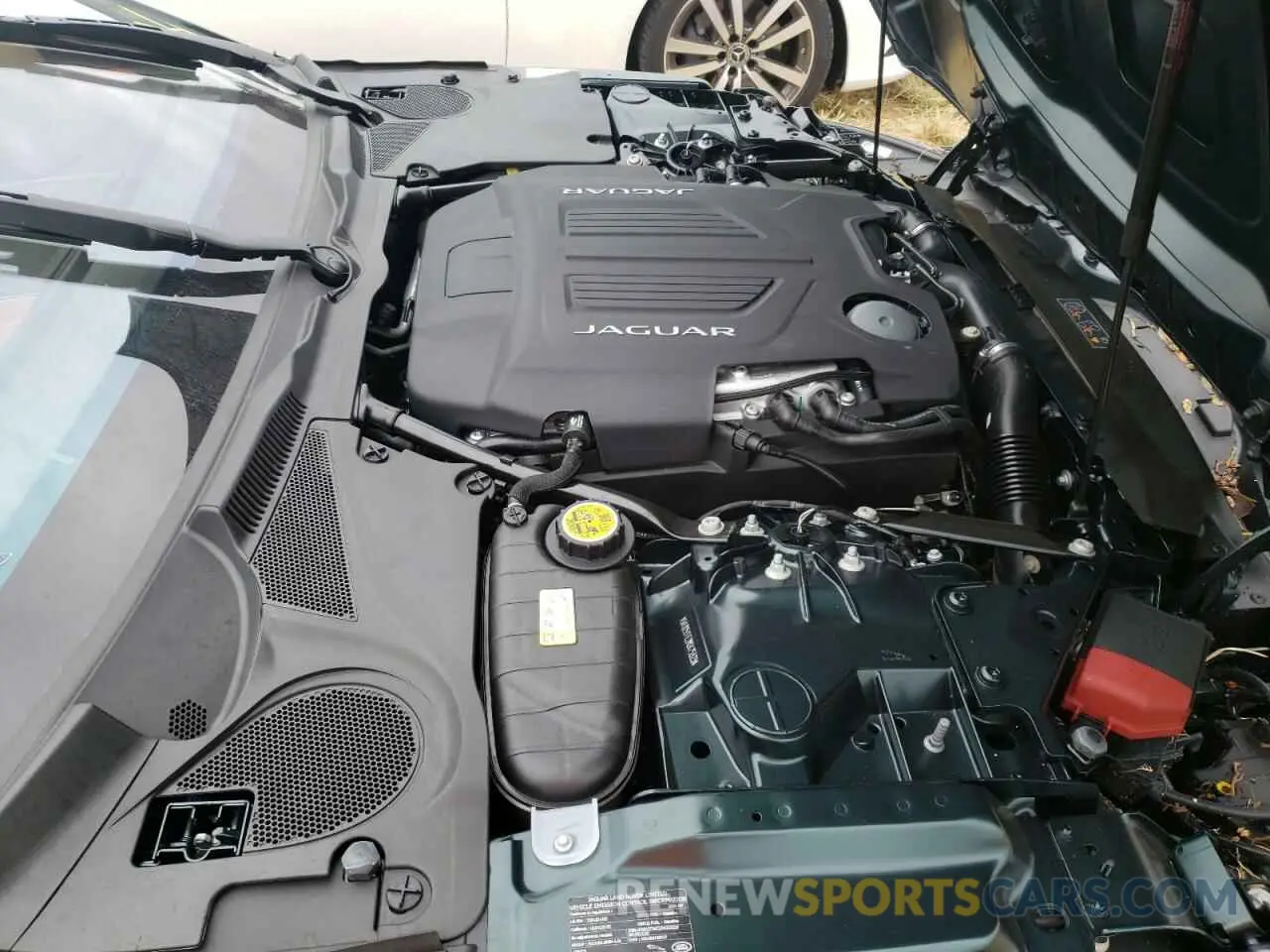 7 fotografías del automóvil dañado SAJD51FE2MCK75323 JAGUAR F-TYPE 2021