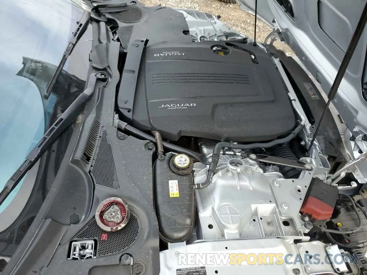 11 fotografías del automóvil dañado SAJDD5GX7MCK73352 JAGUAR F-TYPE 2021