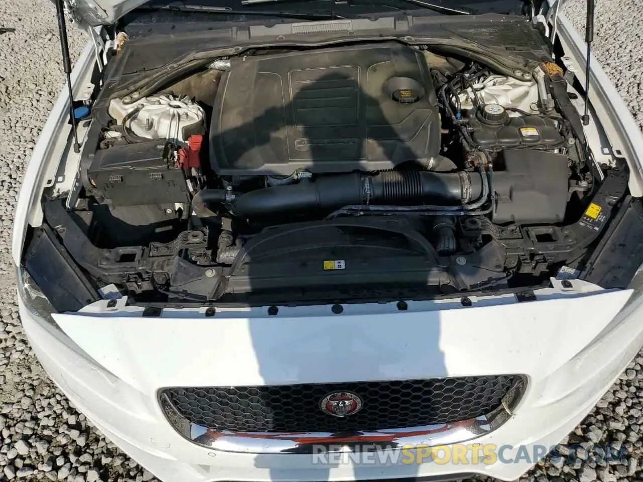 11 fotografías del automóvil dañado SAJAD4FX4KCP45437 JAGUAR XE 2019