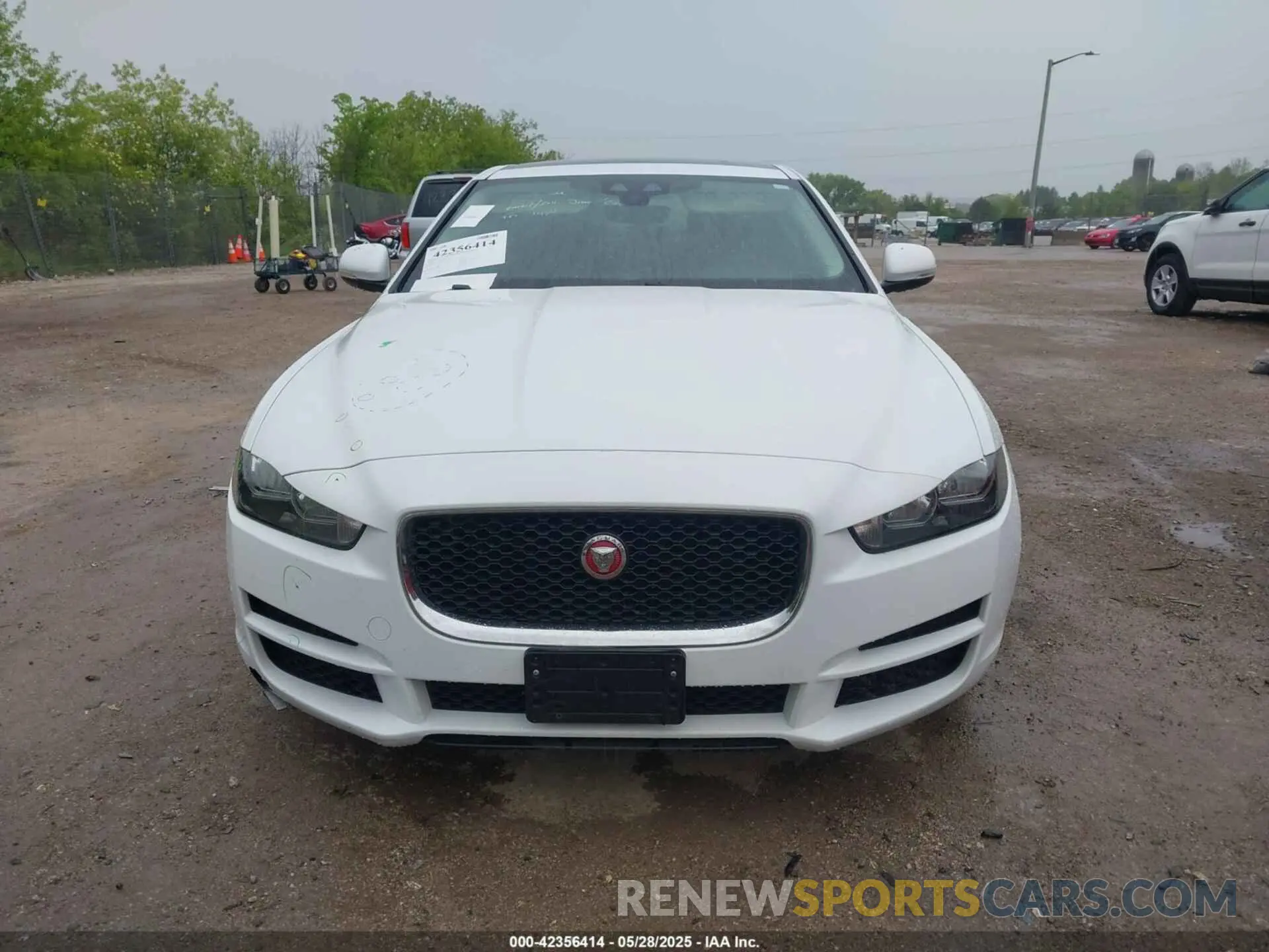 11 fotografías del automóvil dañado SAJAR4FX5KCP52589 JAGUAR XE 2019