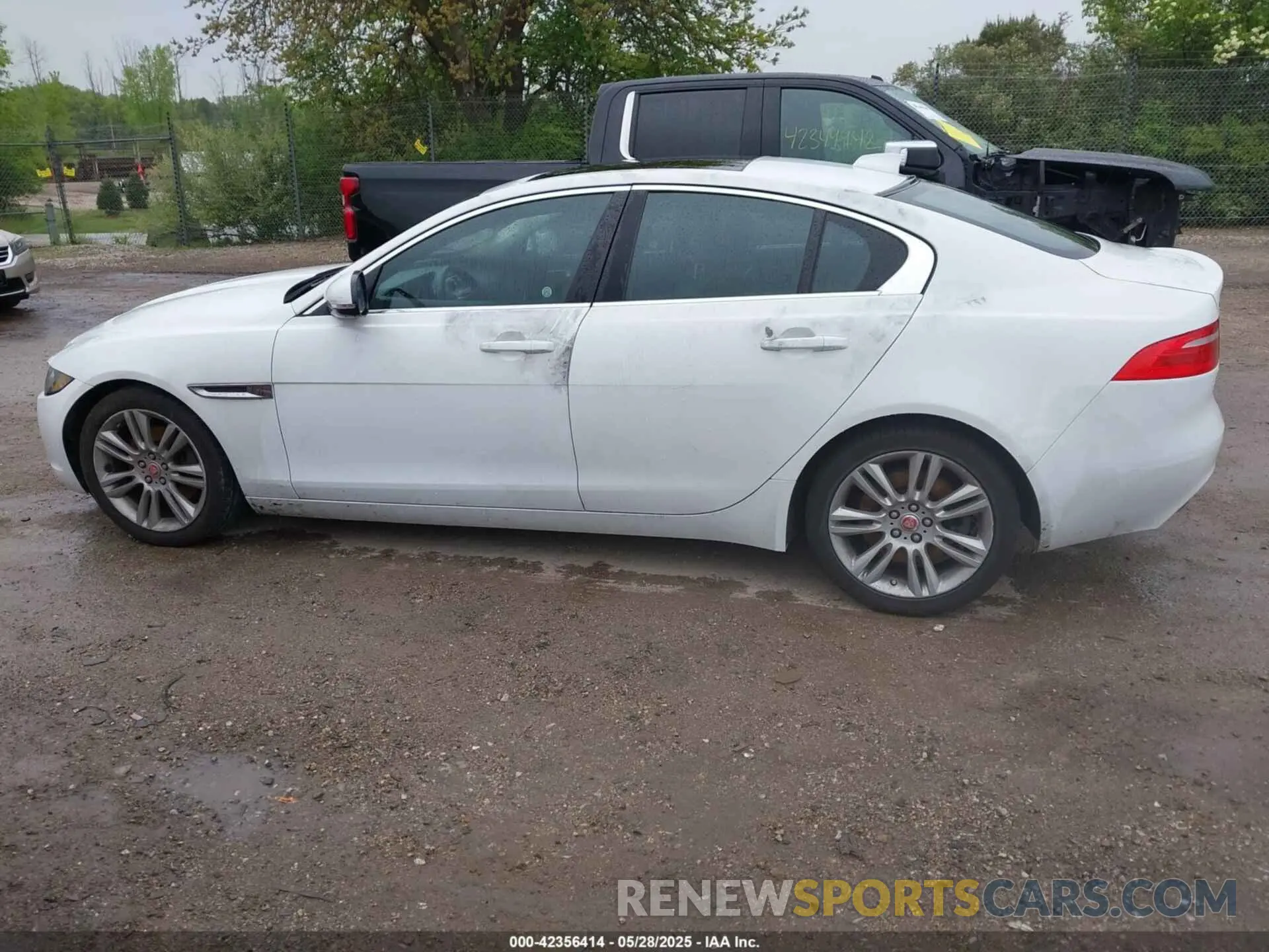 13 fotografías del automóvil dañado SAJAR4FX5KCP52589 JAGUAR XE 2019