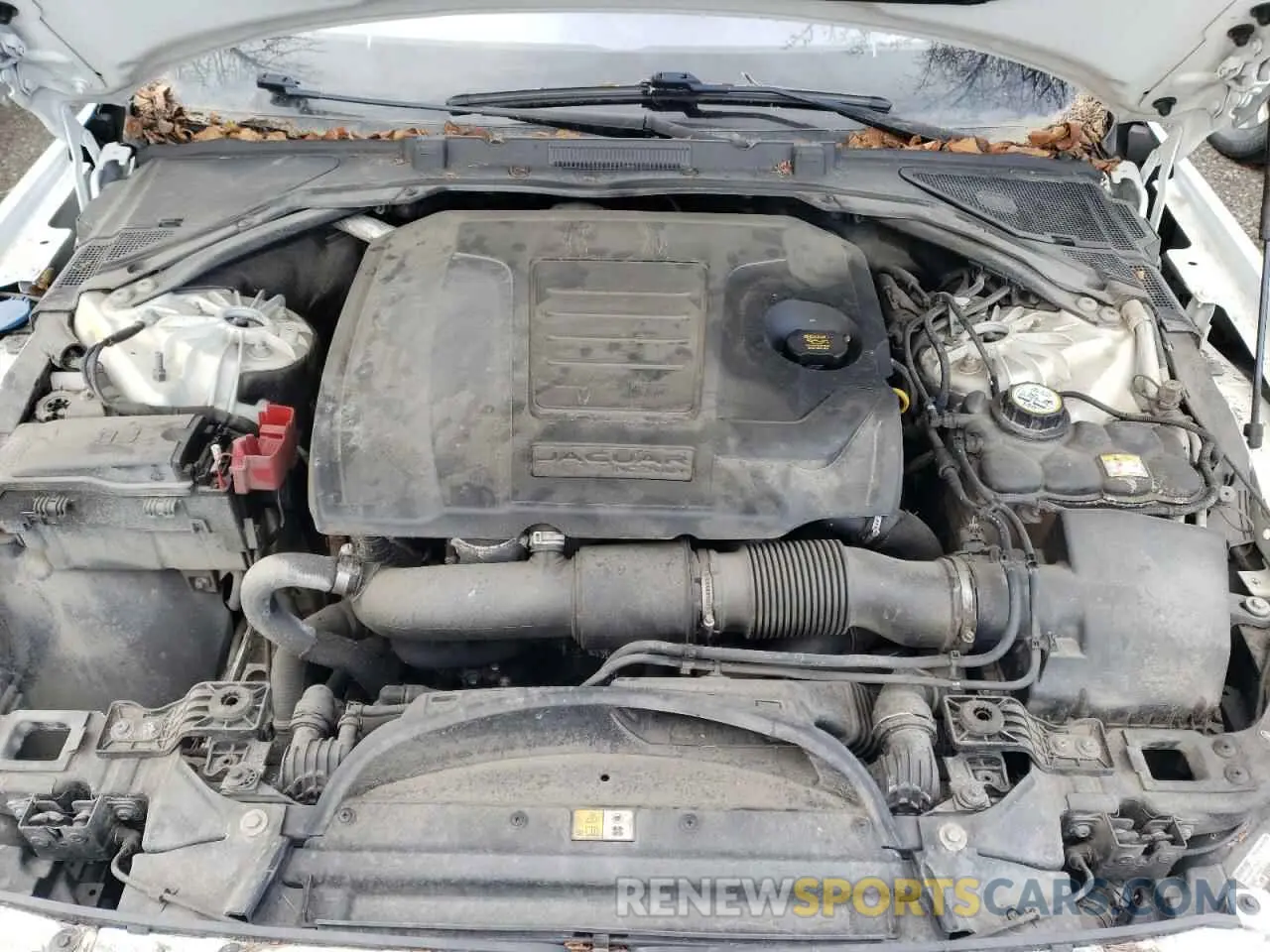 11 fotografías del automóvil dañado SAJBJ4FX0KCY79424 JAGUAR XF 2019