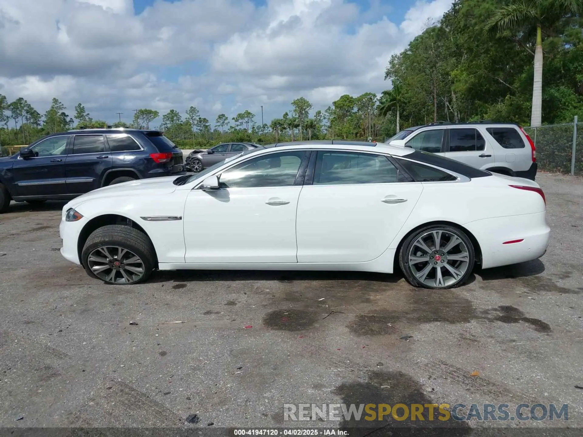14 fotografías del automóvil dañado SAJWJ2GD4K8W19640 JAGUAR XJ 2019