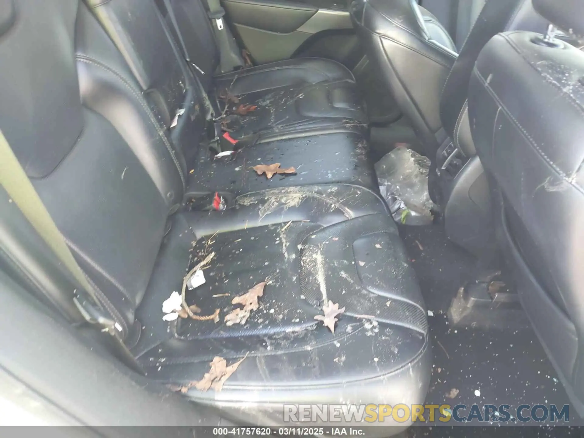 8 fotografías del automóvil dañado 1C4PJLDB1KD302241 JEEP CHEROKEE 2019