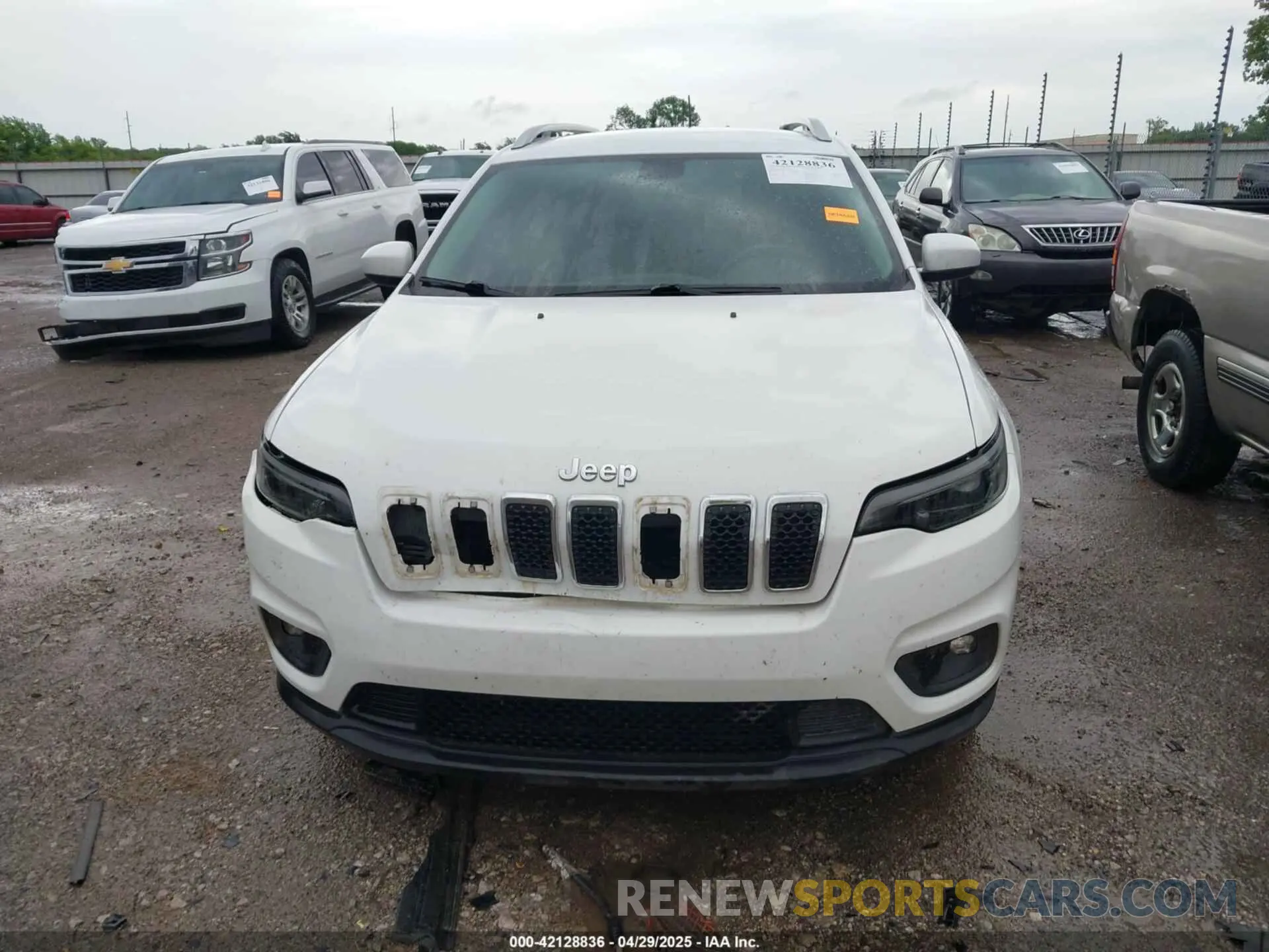 12 fotografías del automóvil dañado 1C4PJLLB3KD151355 JEEP CHEROKEE 2019