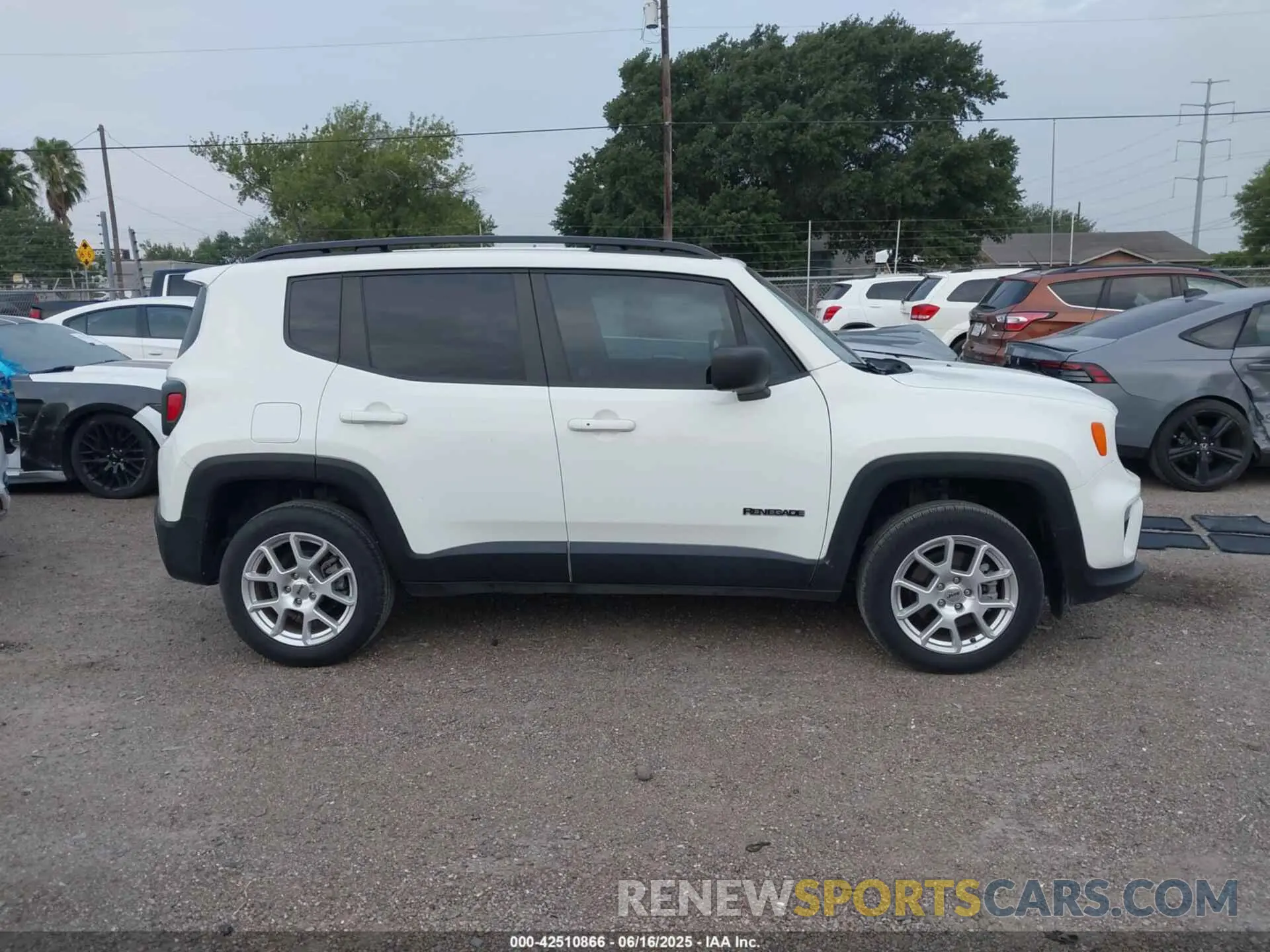 13 fotografías del automóvil dañado ZACNJDB10NPN91087 JEEP RENEGADE 2022