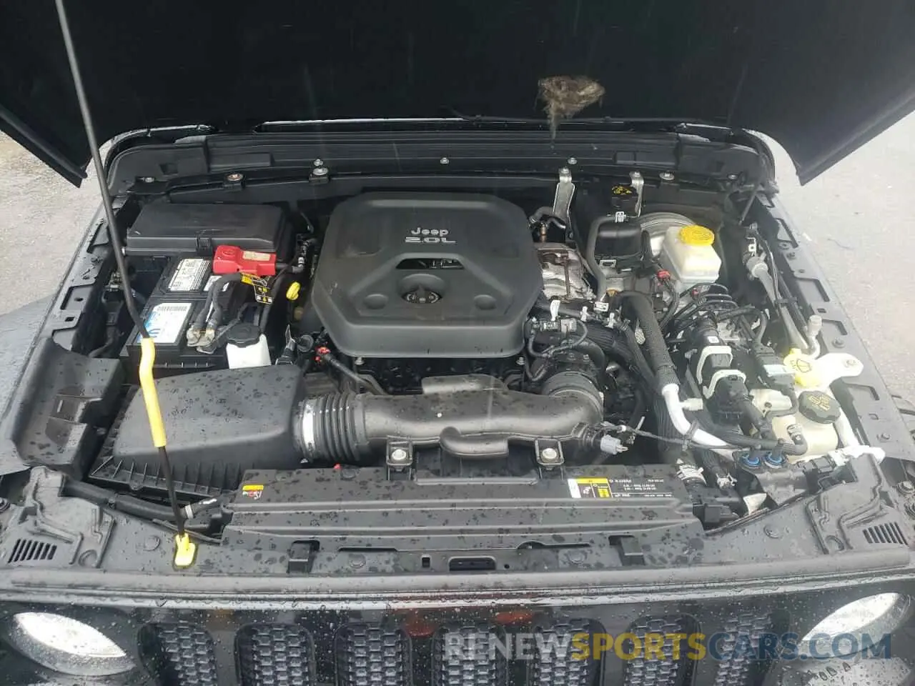 11 fotografías del automóvil dañado 1C4HJXDN5MW525525 JEEP WRANGLER 2021