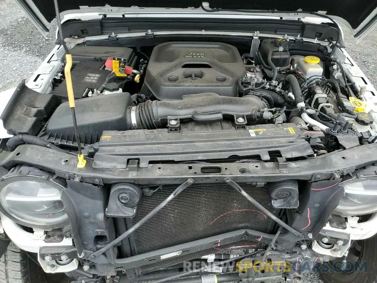 12 fotografías del automóvil dañado 1C4HJXEN7MW563272 JEEP WRANGLER 2021