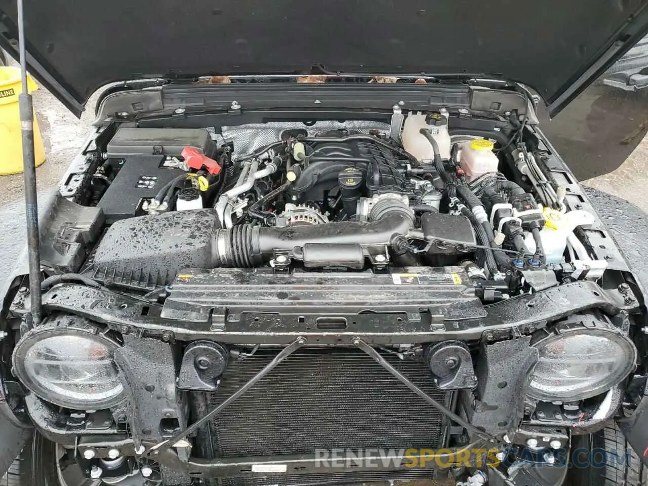 12 fotografías del automóvil dañado 1C4PJXEGXRW261849 JEEP WRANGLER 2024