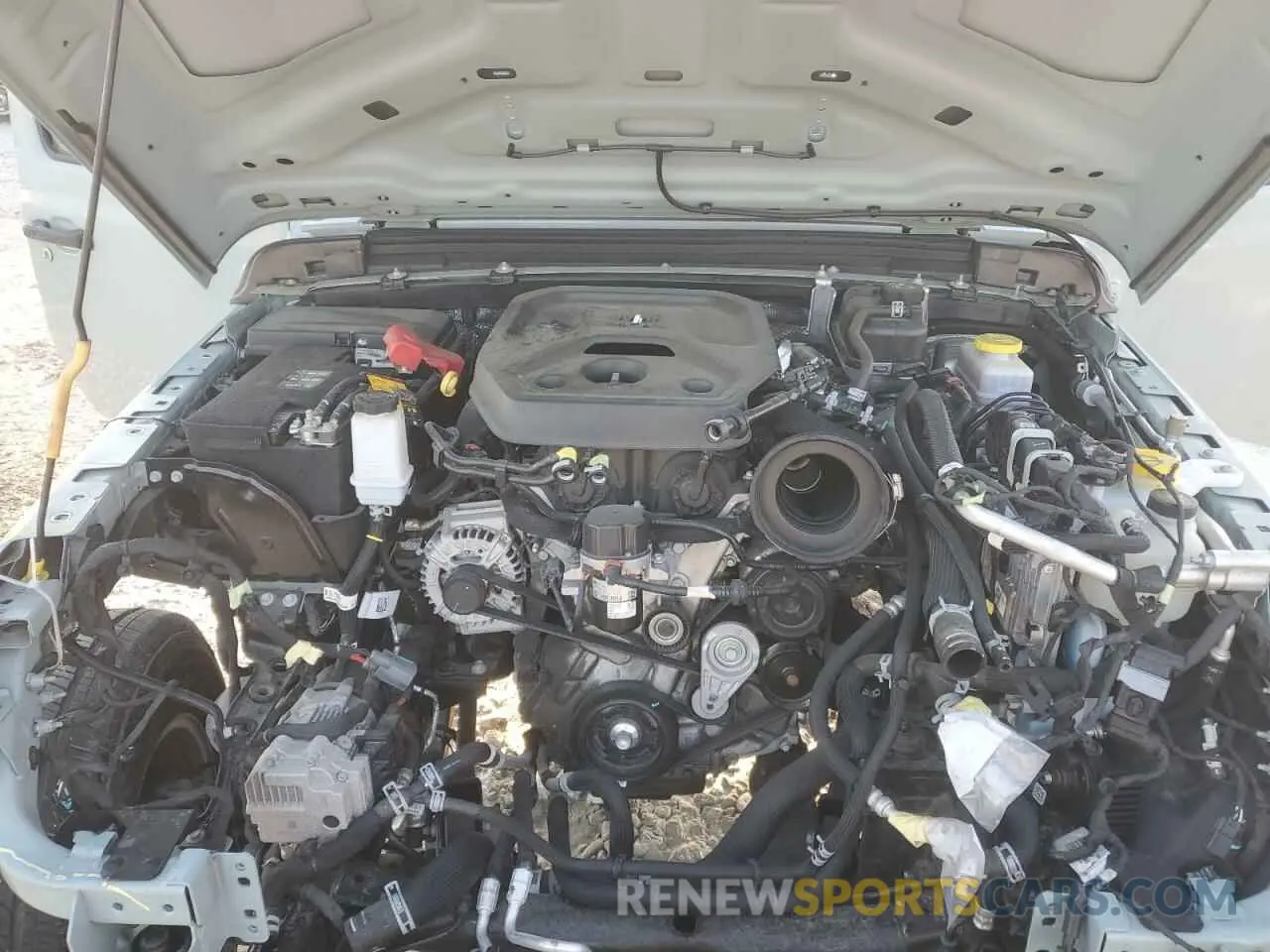 12 fotografías del automóvil dañado 1C4PJXEN6RW106911 JEEP WRANGLER 2024