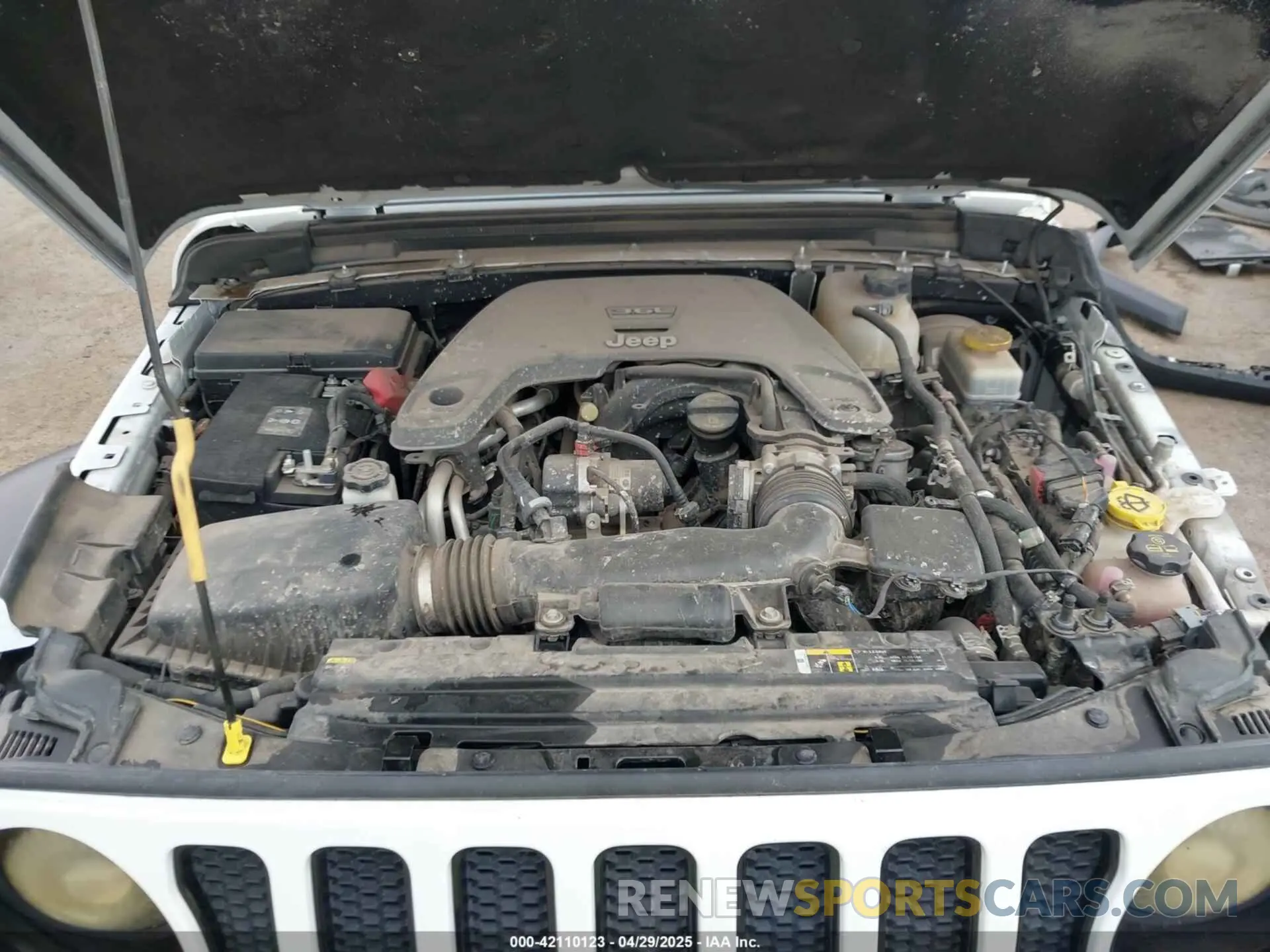 10 fotografías del automóvil dañado 1C4HJXDG8MW509322 JEEP WRANGLER UNLIMITED 2021
