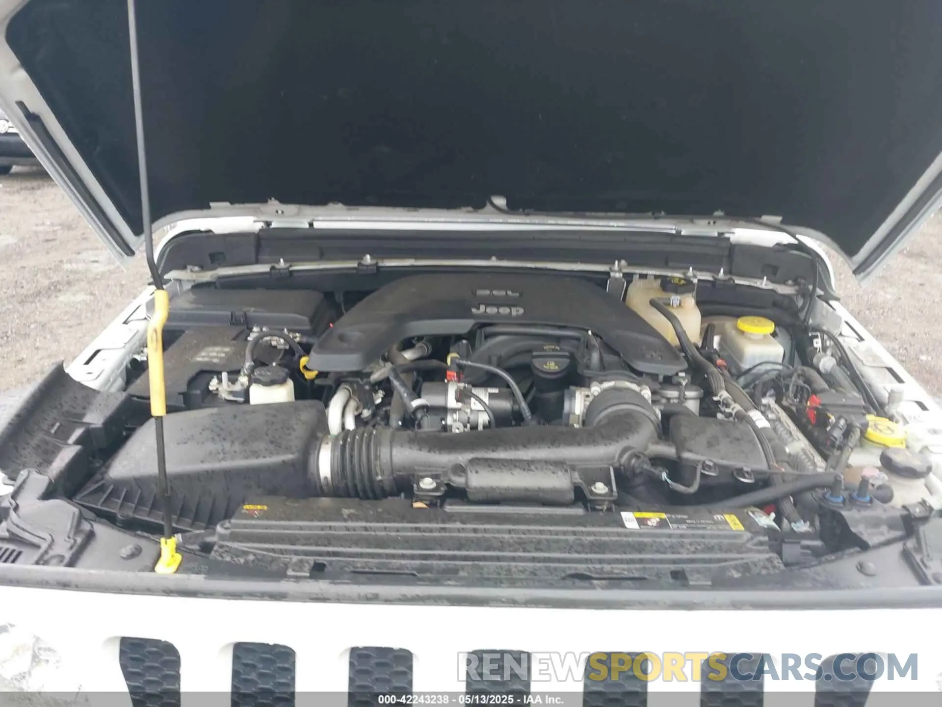 10 fotografías del automóvil dañado 1C4HJXDG9MW582361 JEEP WRANGLER UNLIMITED 2021
