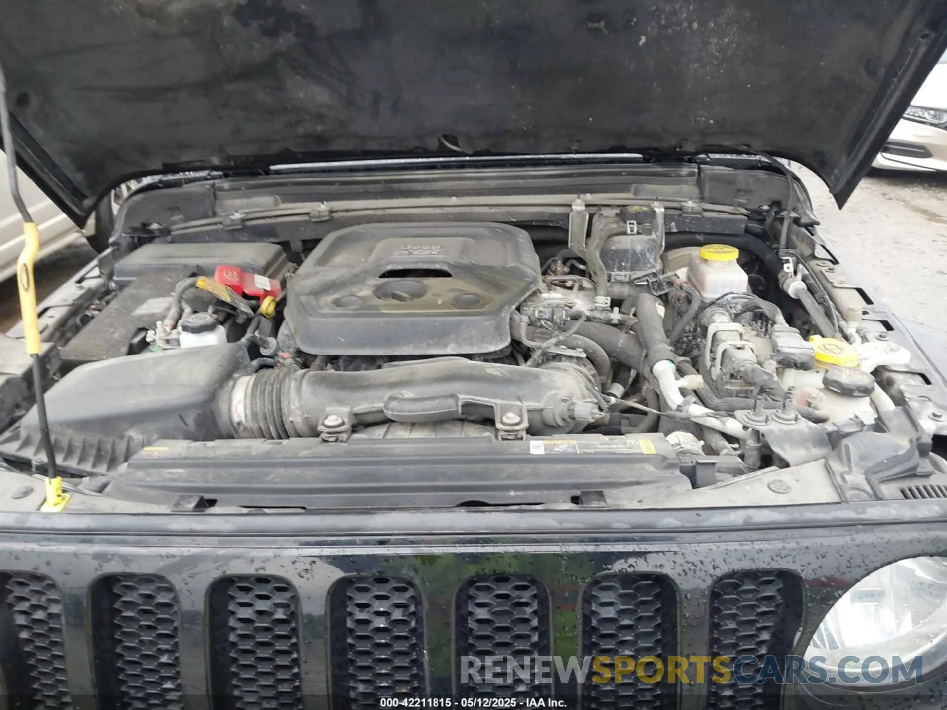 10 fotografías del automóvil dañado 1C4HJXDN0MW678801 JEEP WRANGLER UNLIMITED 2021