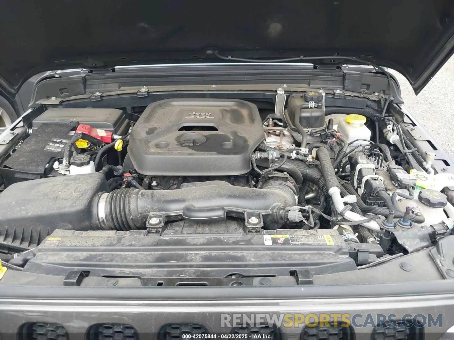 10 fotografías del automóvil dañado 1C4HJXDN5MW683251 JEEP WRANGLER UNLIMITED 2021