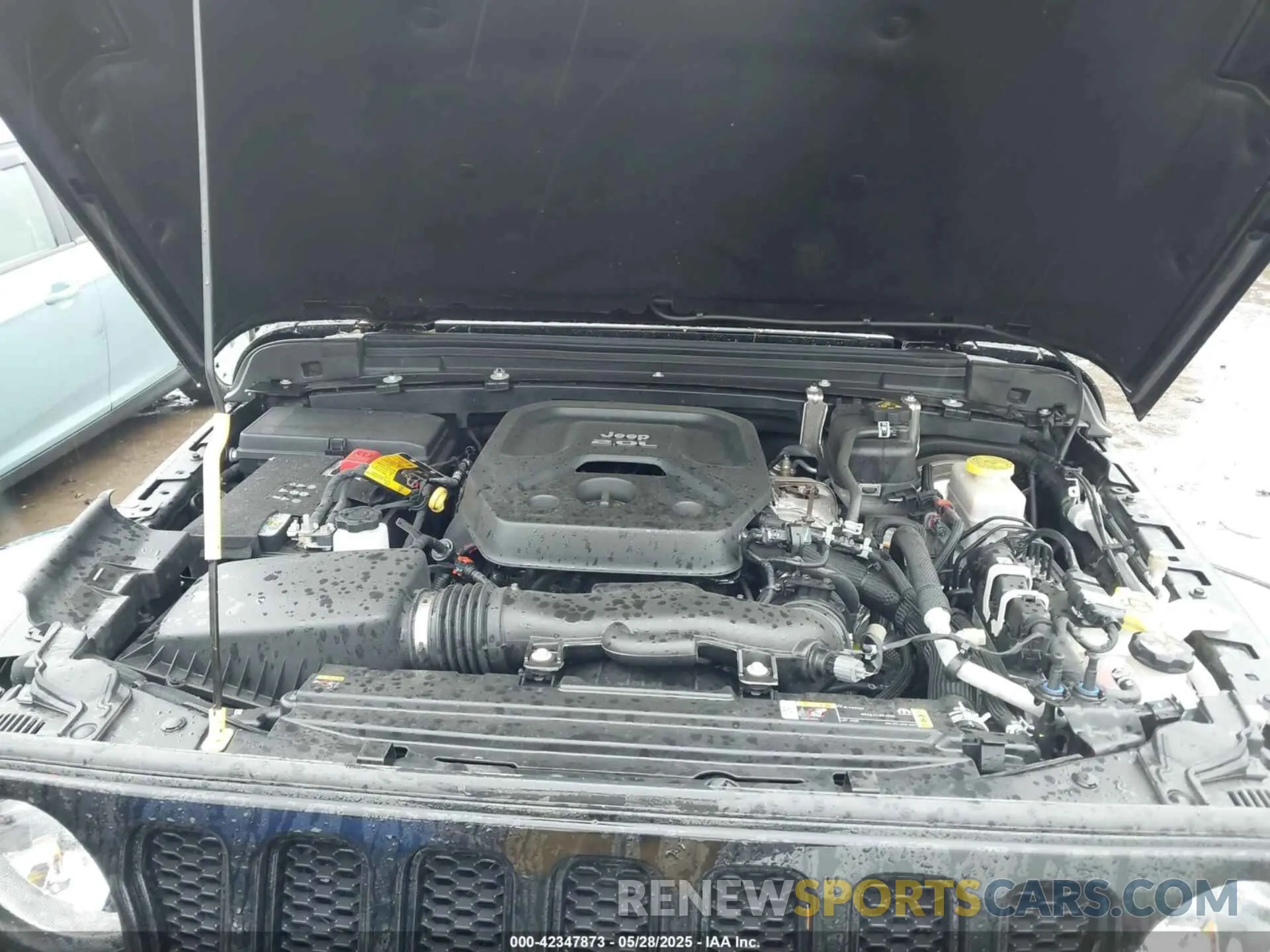 10 fotografías del automóvil dañado 1C4HJXEN4MW740909 JEEP WRANGLER UNLIMITED 2021