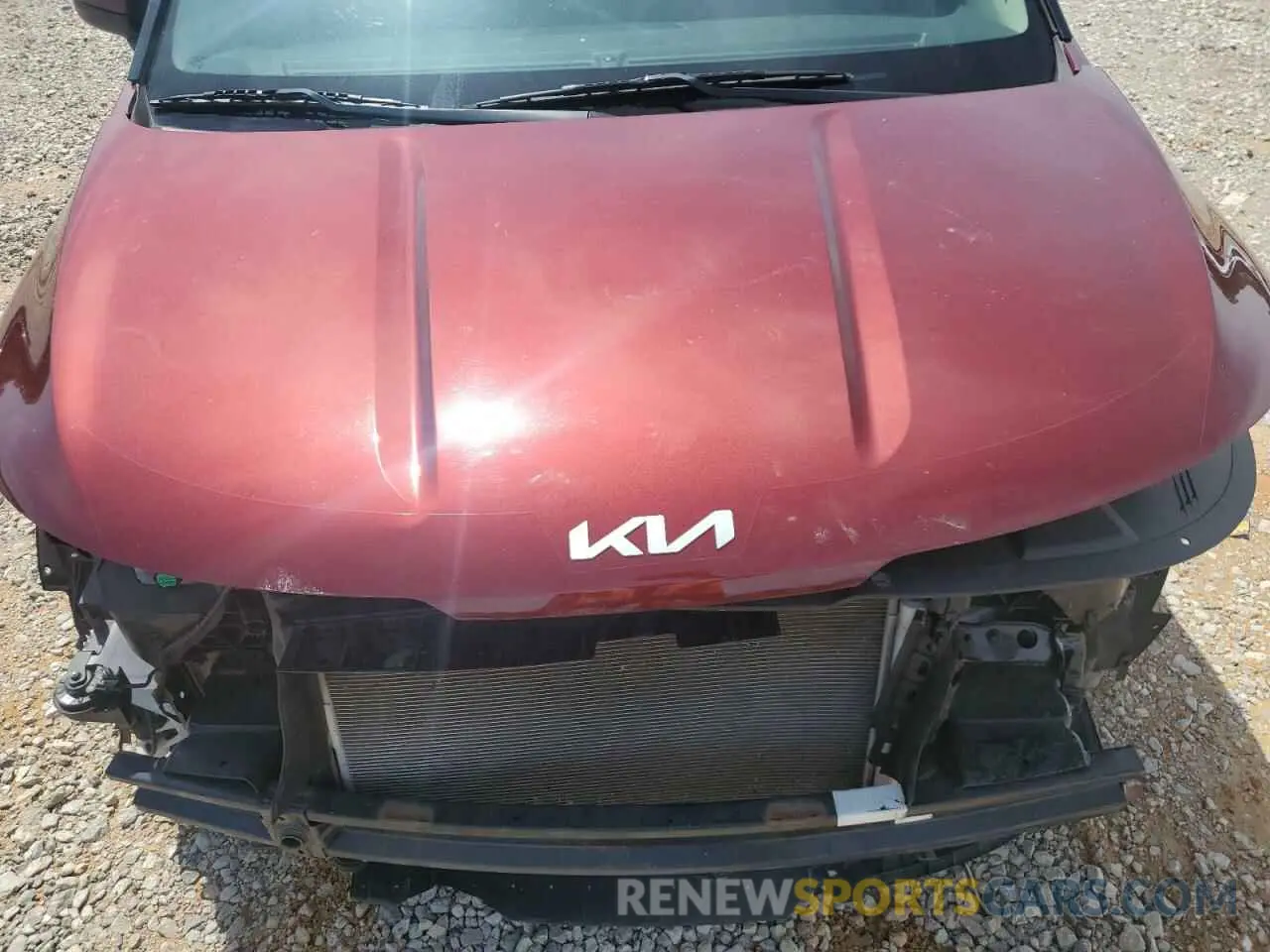12 fotografías del automóvil dañado KNDNB4H31N6109352 KIA CARNIVAL L 2022