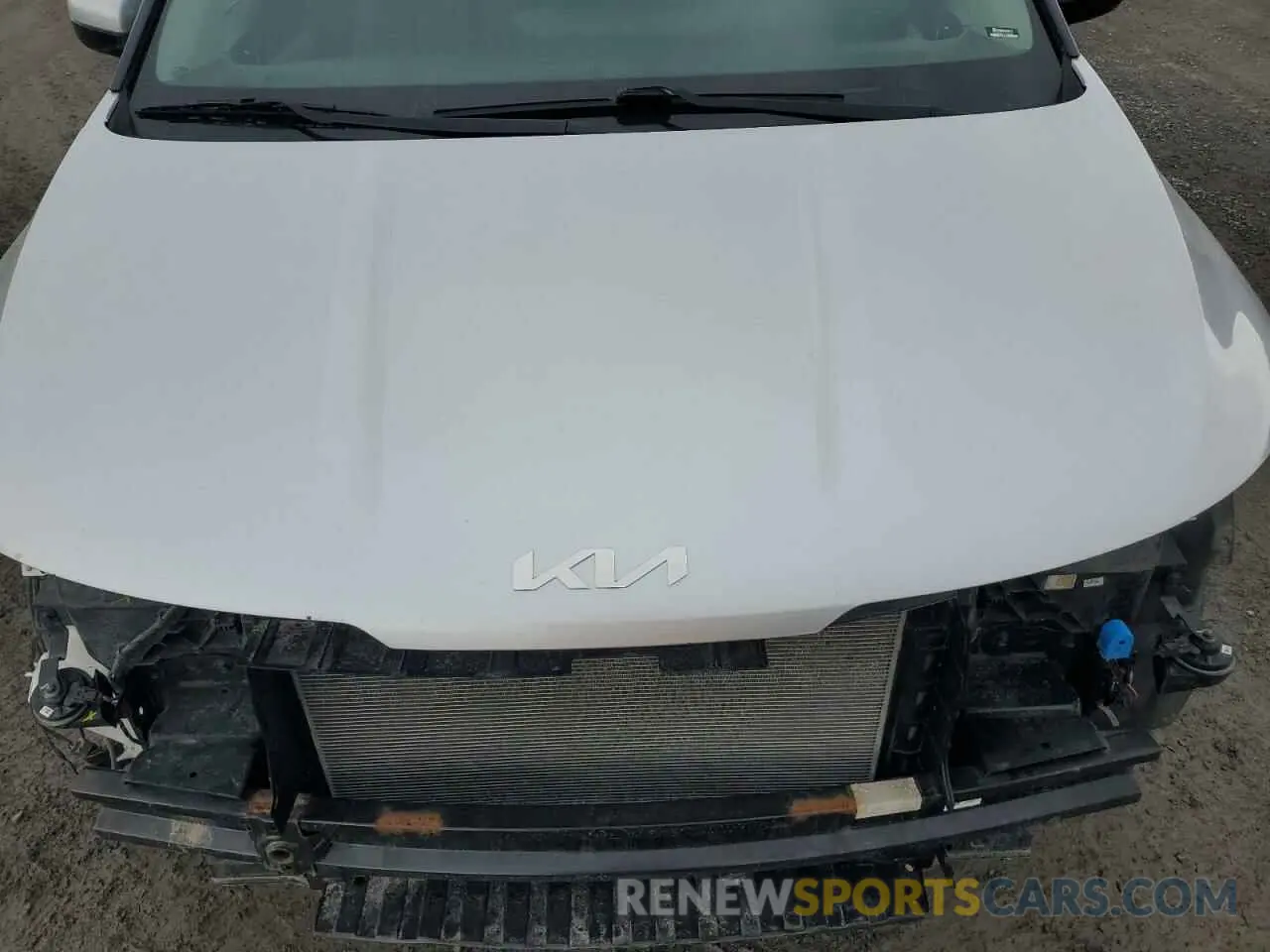 12 fotografías del automóvil dañado KNDNB5H33N6069166 KIA CARNIVAL L 2022