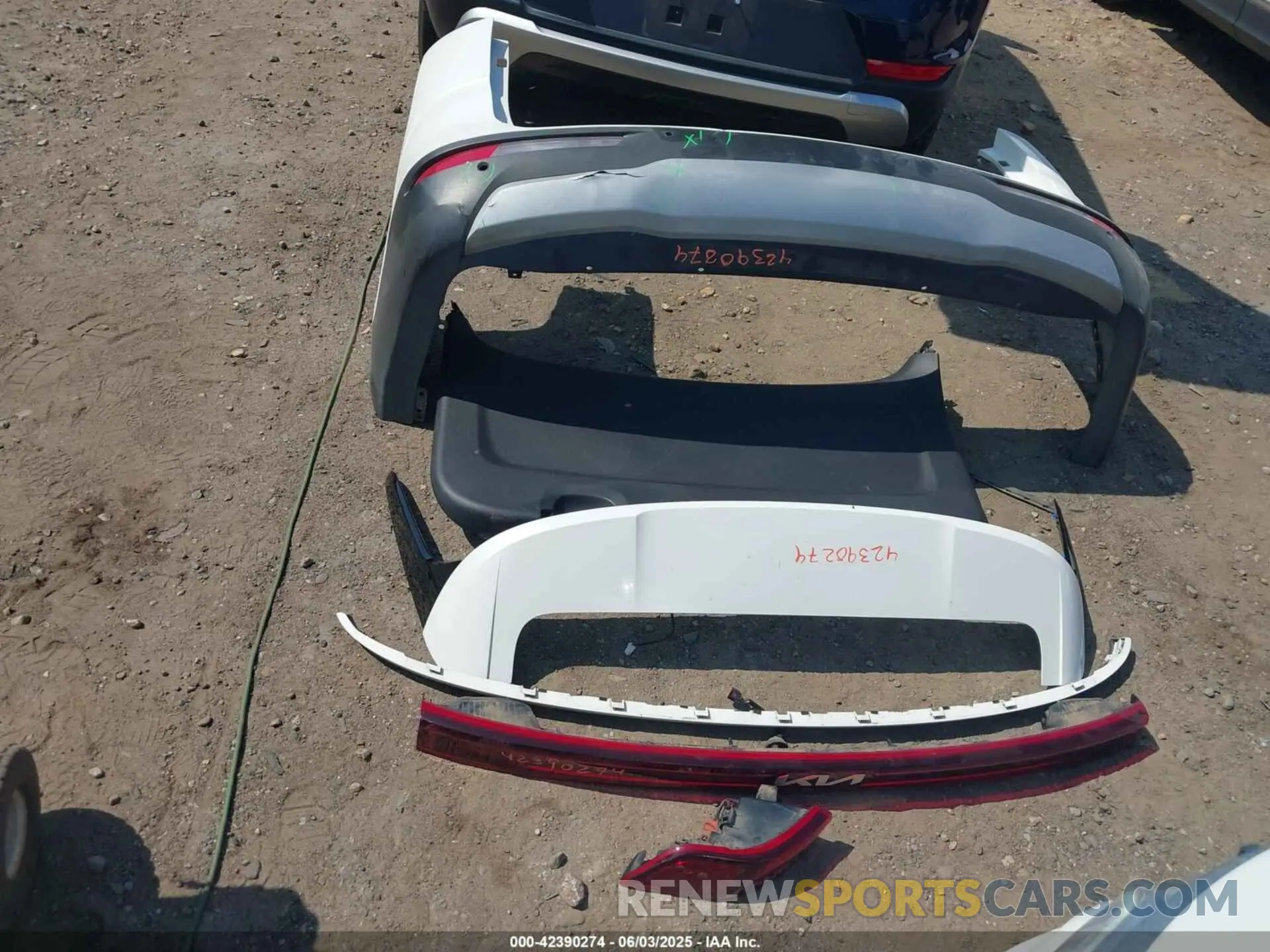 12 fotografías del automóvil dañado KNDNB4H36N6097554 KIA CARNIVAL MPV 2022