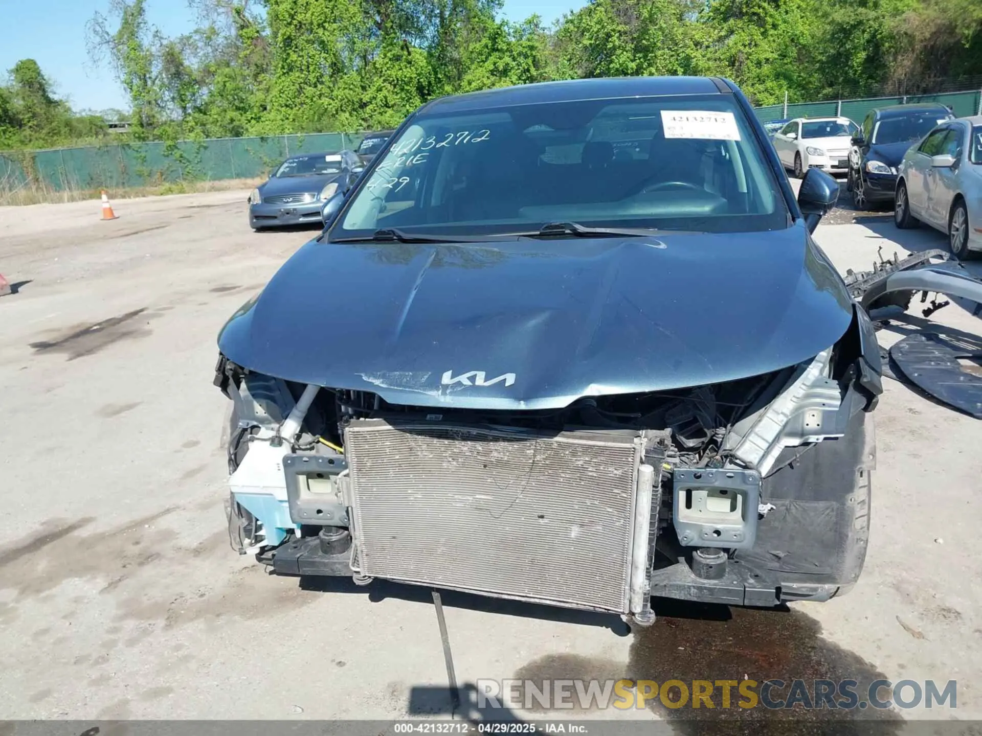 13 fotografías del automóvil dañado KNDNC5H3XN6061465 KIA CARNIVAL MPV 2022