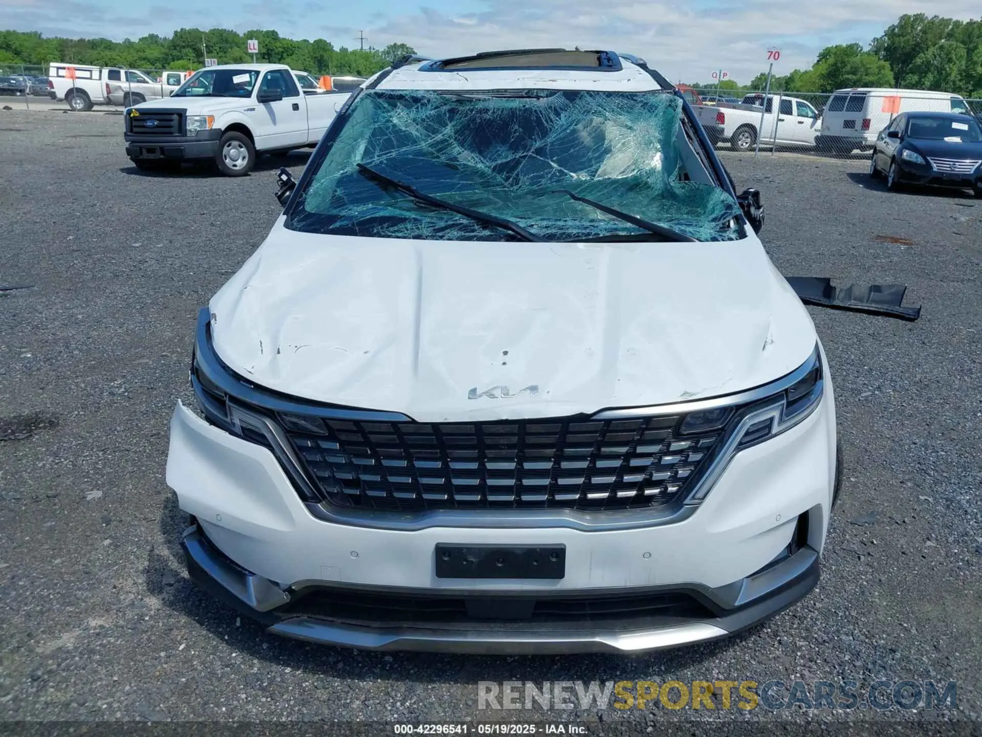 12 fotografías del automóvil dañado KNDNE5H39R6364270 KIA CARNIVAL MPV 2024