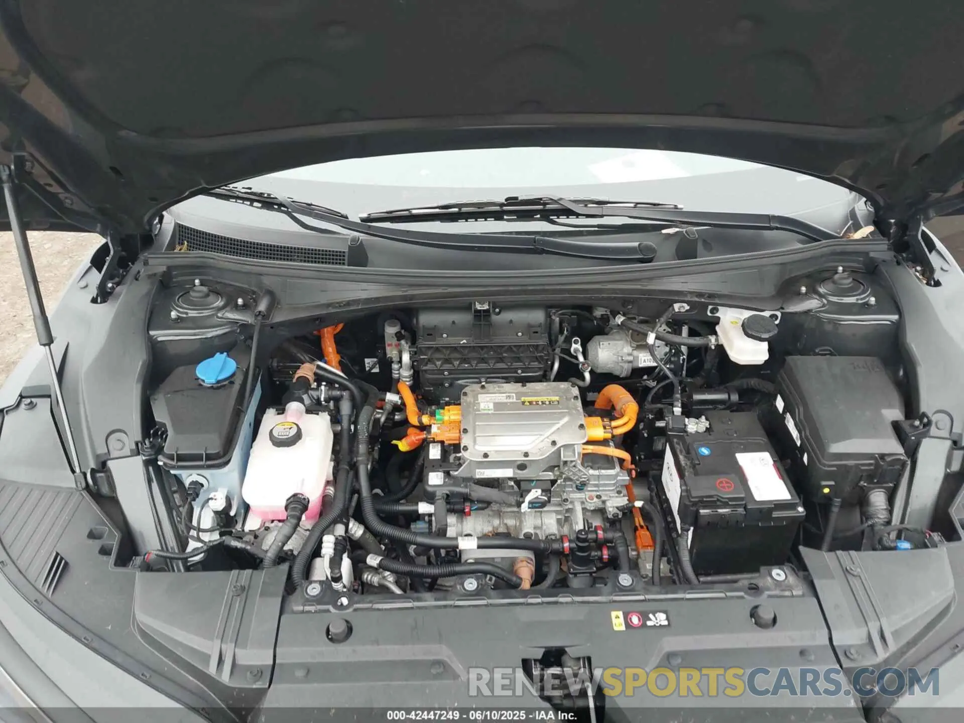 10 fotografías del automóvil dañado KNDC3DLC0N5029056 KIA EV6 2022