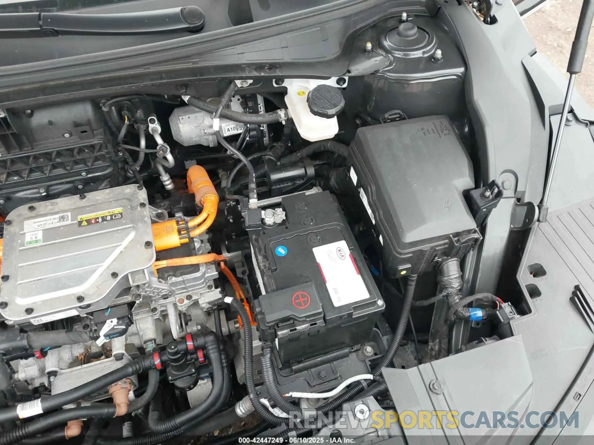 17 fotografías del automóvil dañado KNDC3DLC0N5029056 KIA EV6 2022