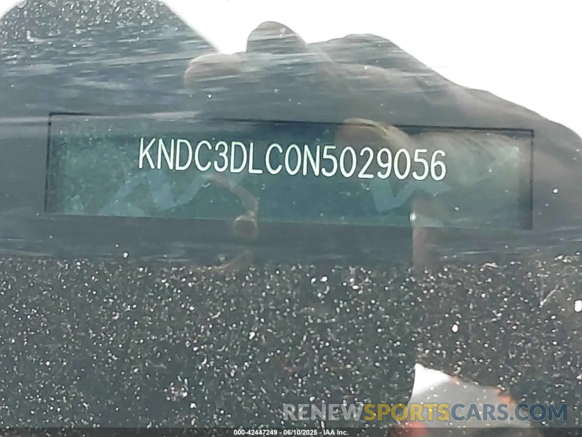 19 fotografías del automóvil dañado KNDC3DLC0N5029056 KIA EV6 2022