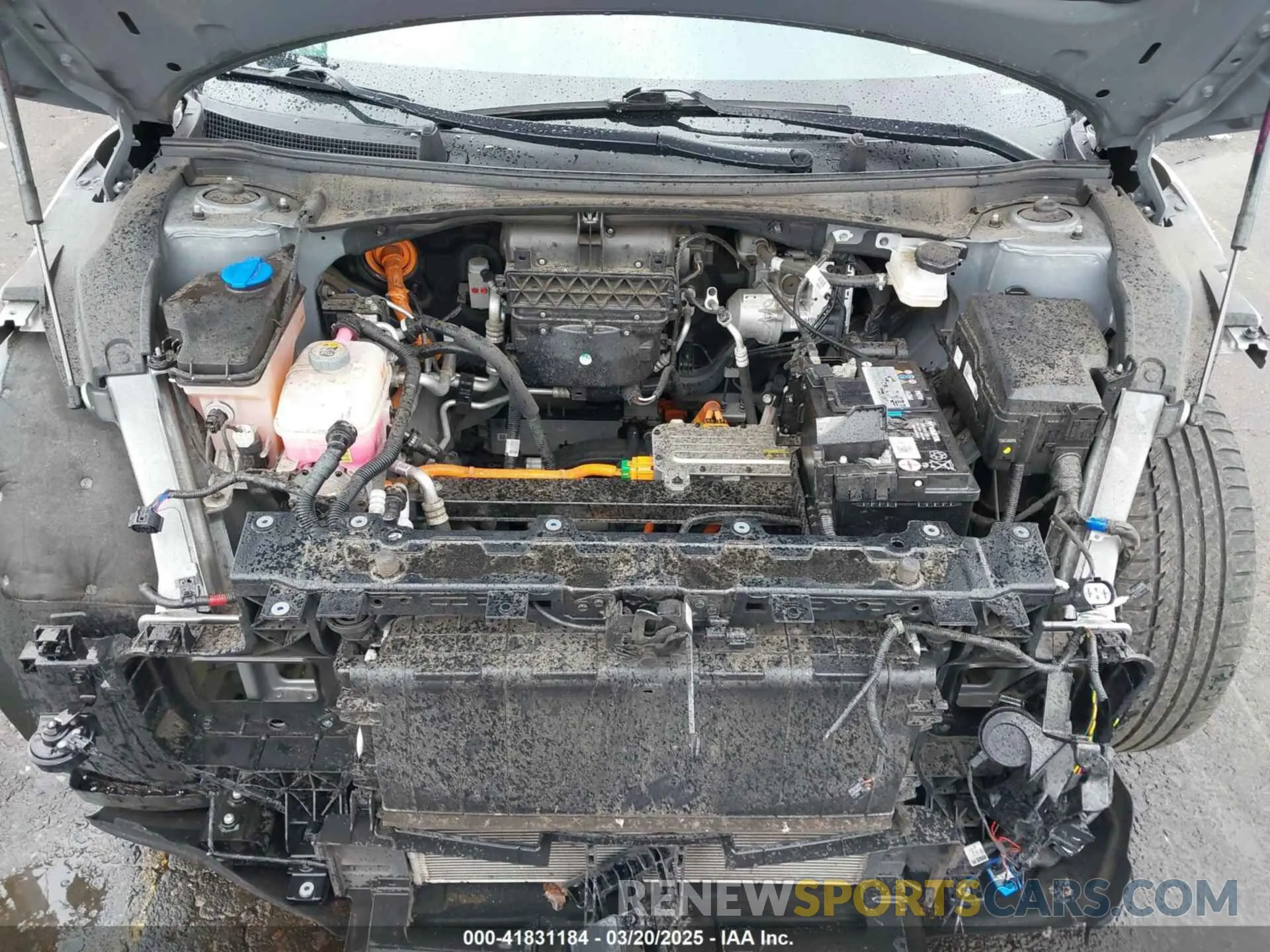 10 fotografías del automóvil dañado KNDC34LA5P5604138 KIA EV6 2023