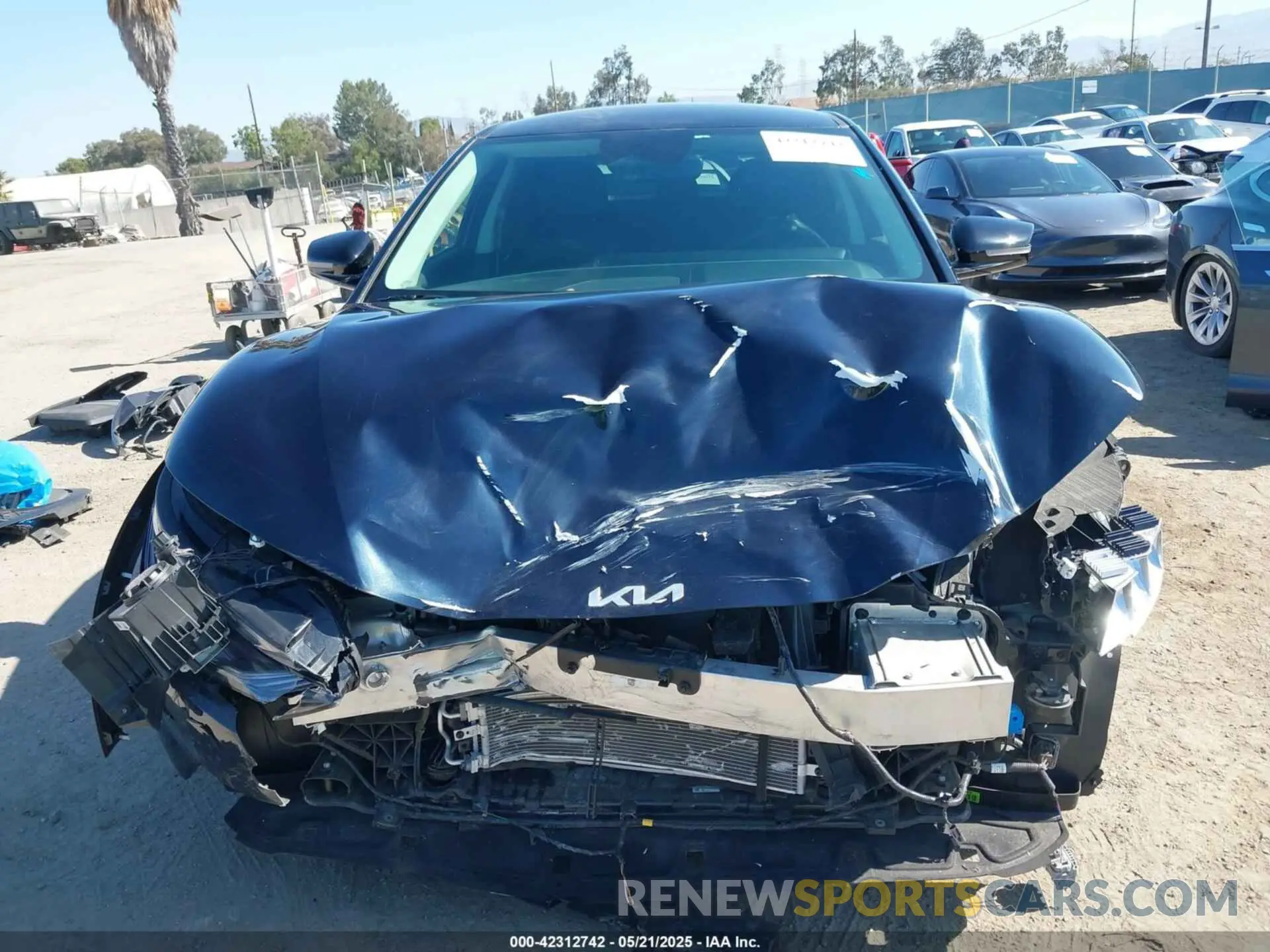 13 fotografías del automóvil dañado KNDC3DLC0R5210373 KIA EV6 2024