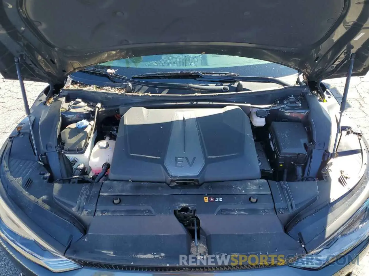 12 fotografías del automóvil dañado KNDC34LA4P5607113 KIA EV6 LIGHT 2023