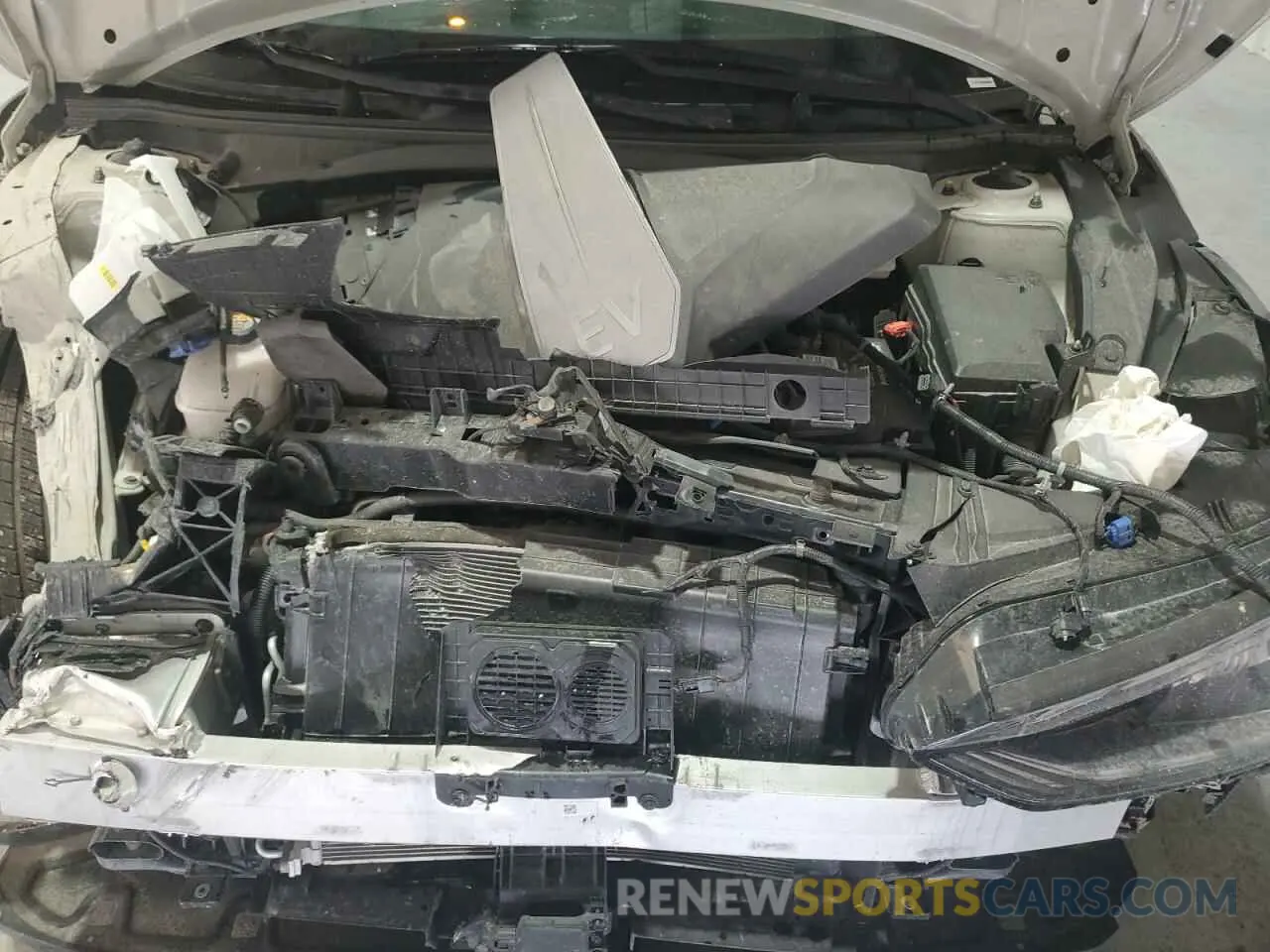 12 fotografías del automóvil dañado KNDC34LA2R5192134 KIA EV6 LIGHT 2024
