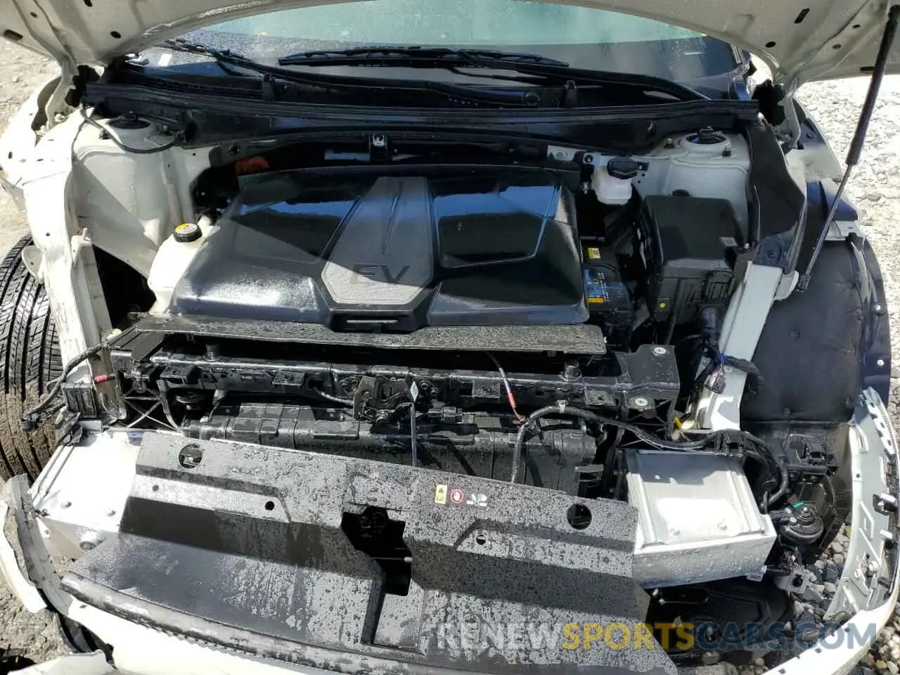 11 fotografías del automóvil dañado KNDC34LA3R5198783 KIA EV6 LIGHT 2024