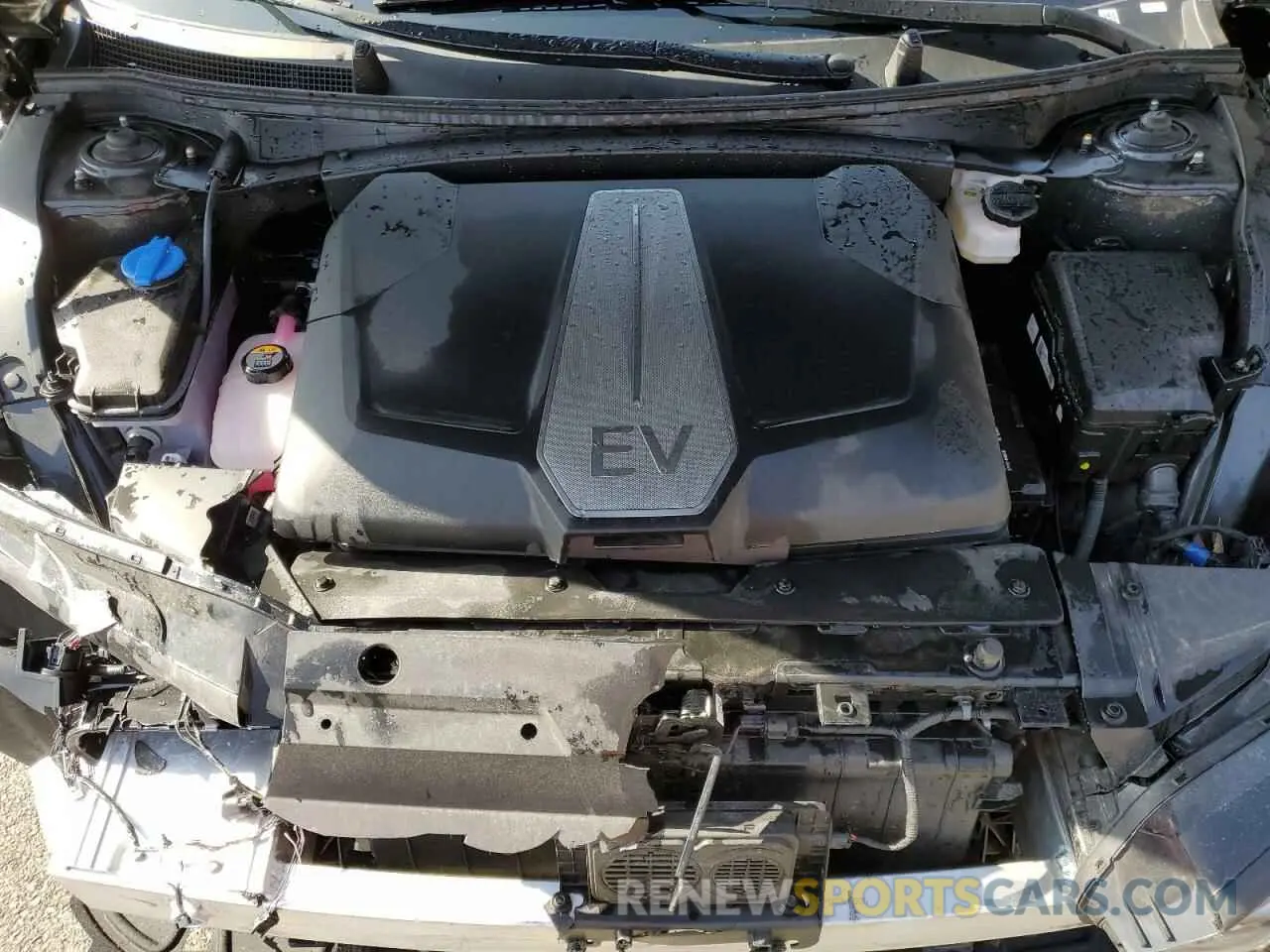 11 fotografías del automóvil dañado KNDC34LA8R5202276 KIA EV6 LIGHT 2024