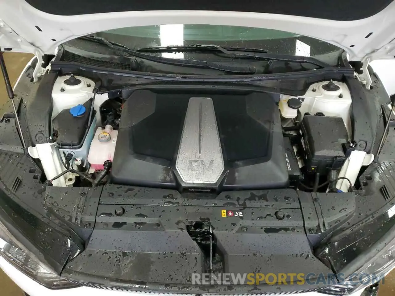 12 fotografías del automóvil dañado KNDC3DLC6R5619056 KIA EV6 LIGHT 2024