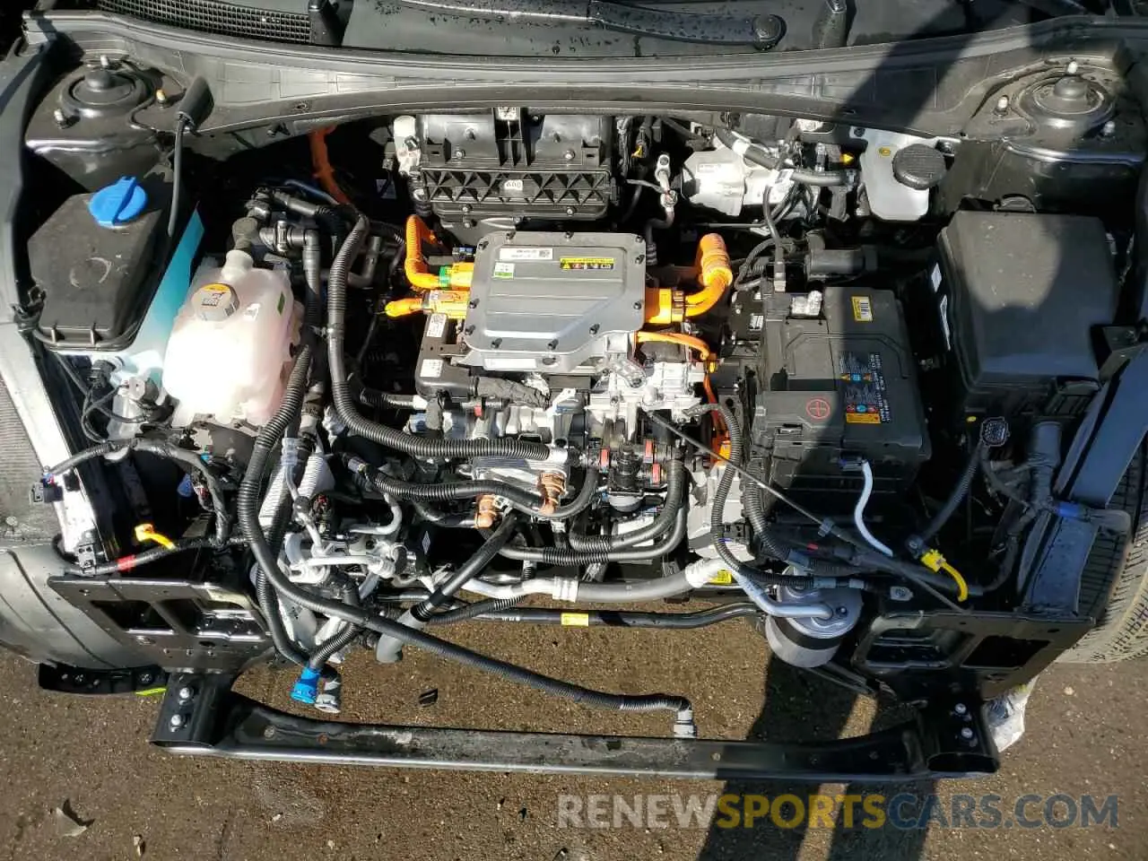 12 fotografías del automóvil dañado KNDC3DLC7R5623424 KIA EV6 LIGHT 2024