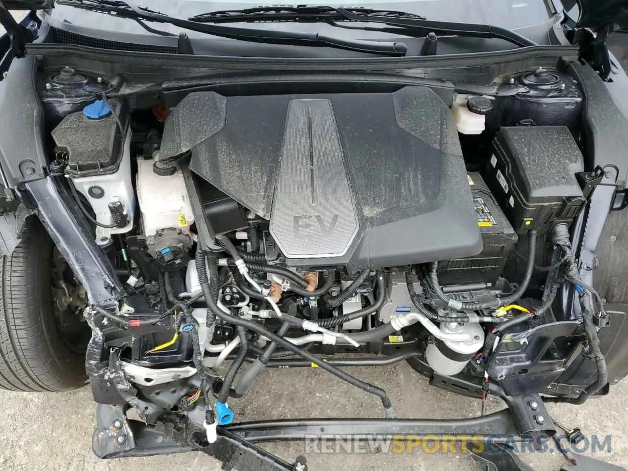 12 fotografías del automóvil dañado KNDC3DLC8R5211562 KIA EV6 LIGHT 2024