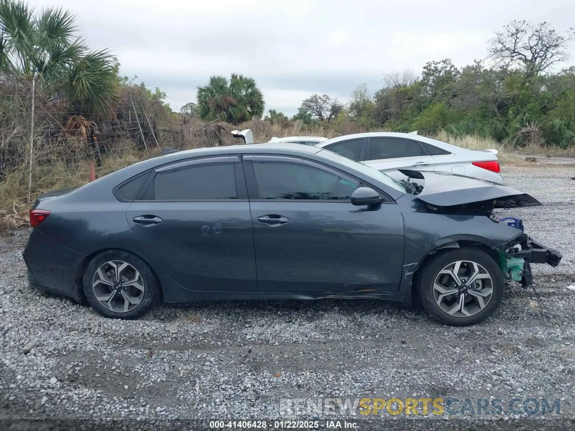 14 fotografías del automóvil dañado 3KPF24AD1KE111356 KIA FORTE 2019